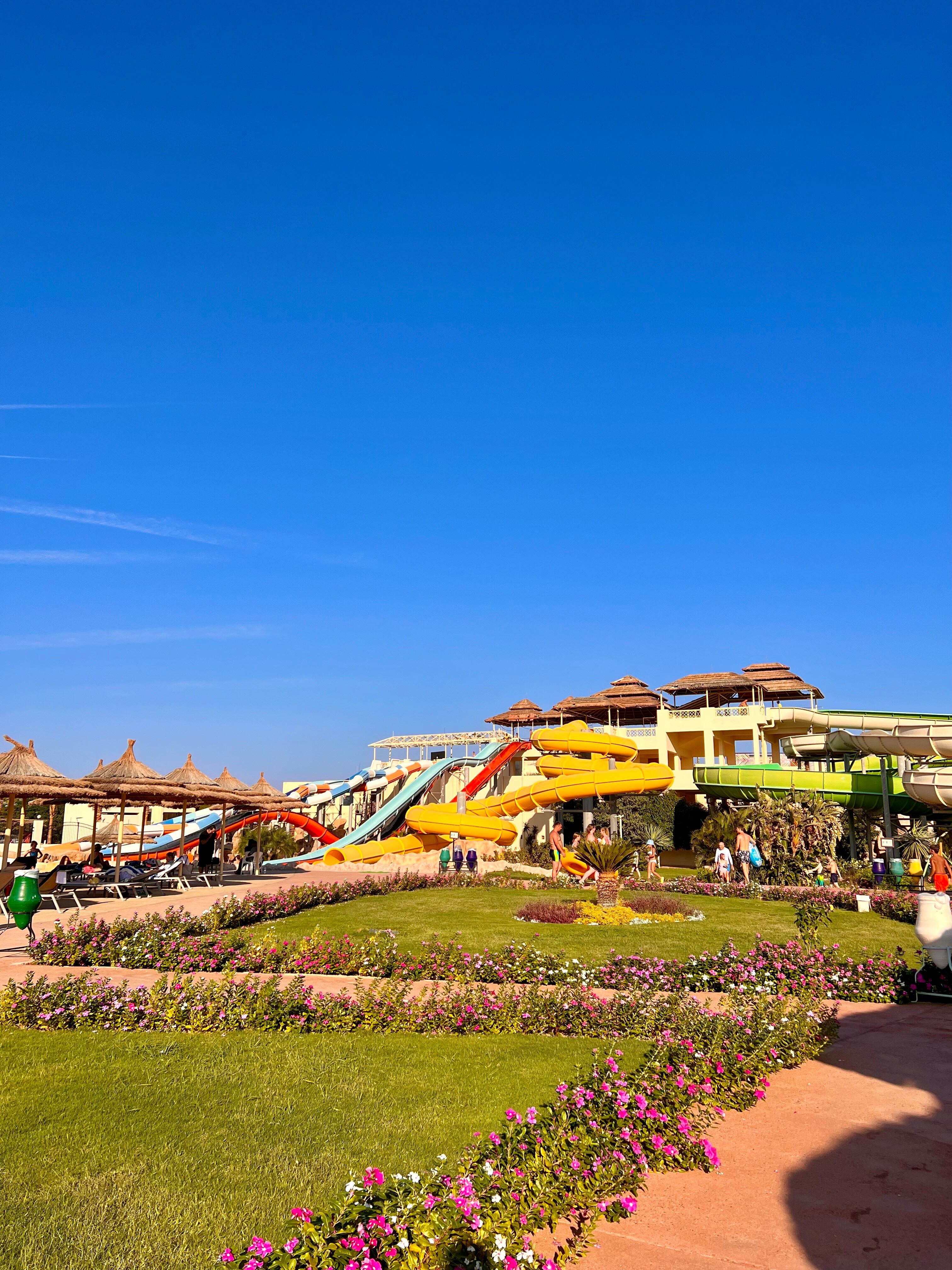 Фото 43410495811