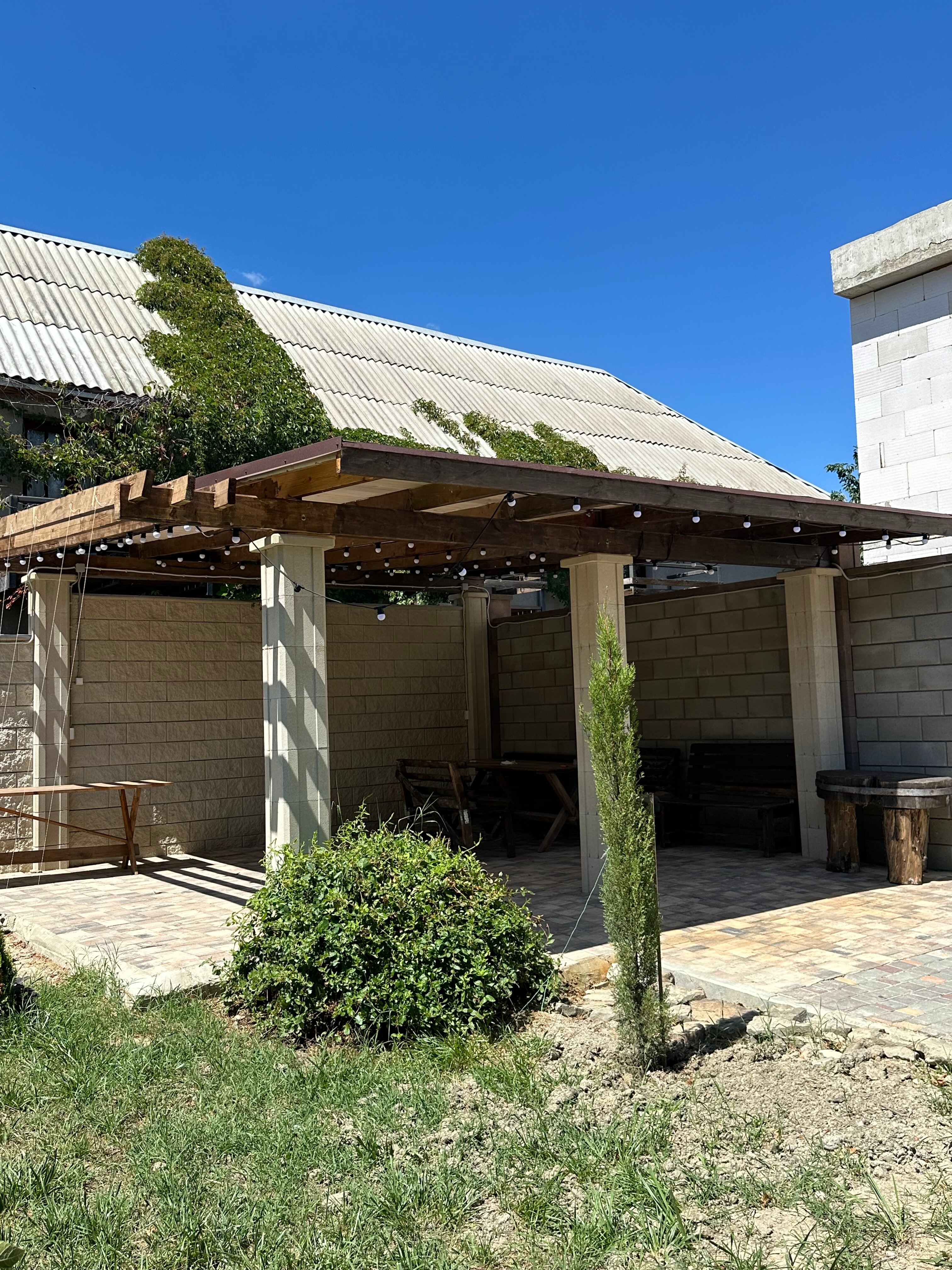 Фото Фламинго