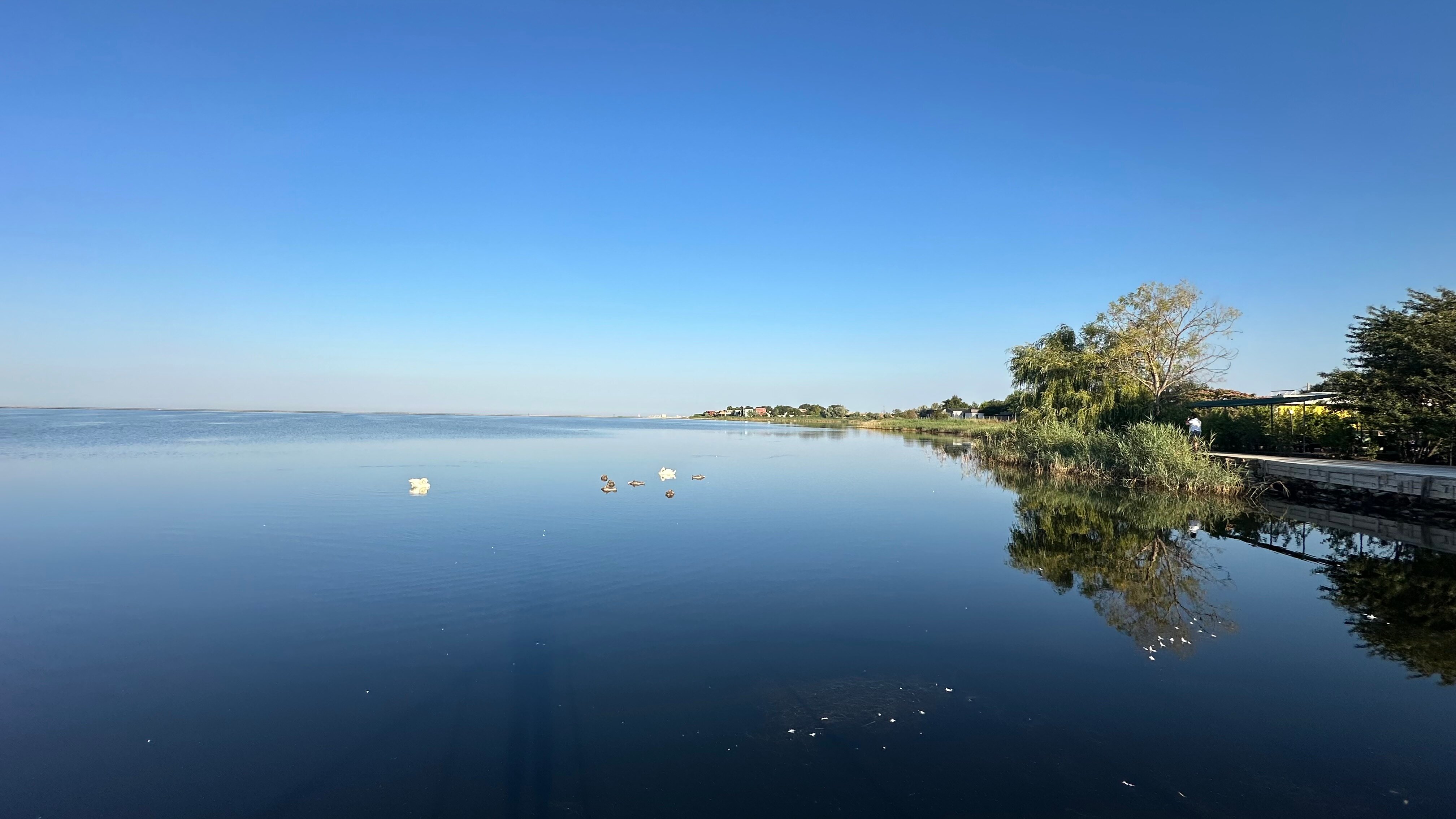 Фото Фрунзенец