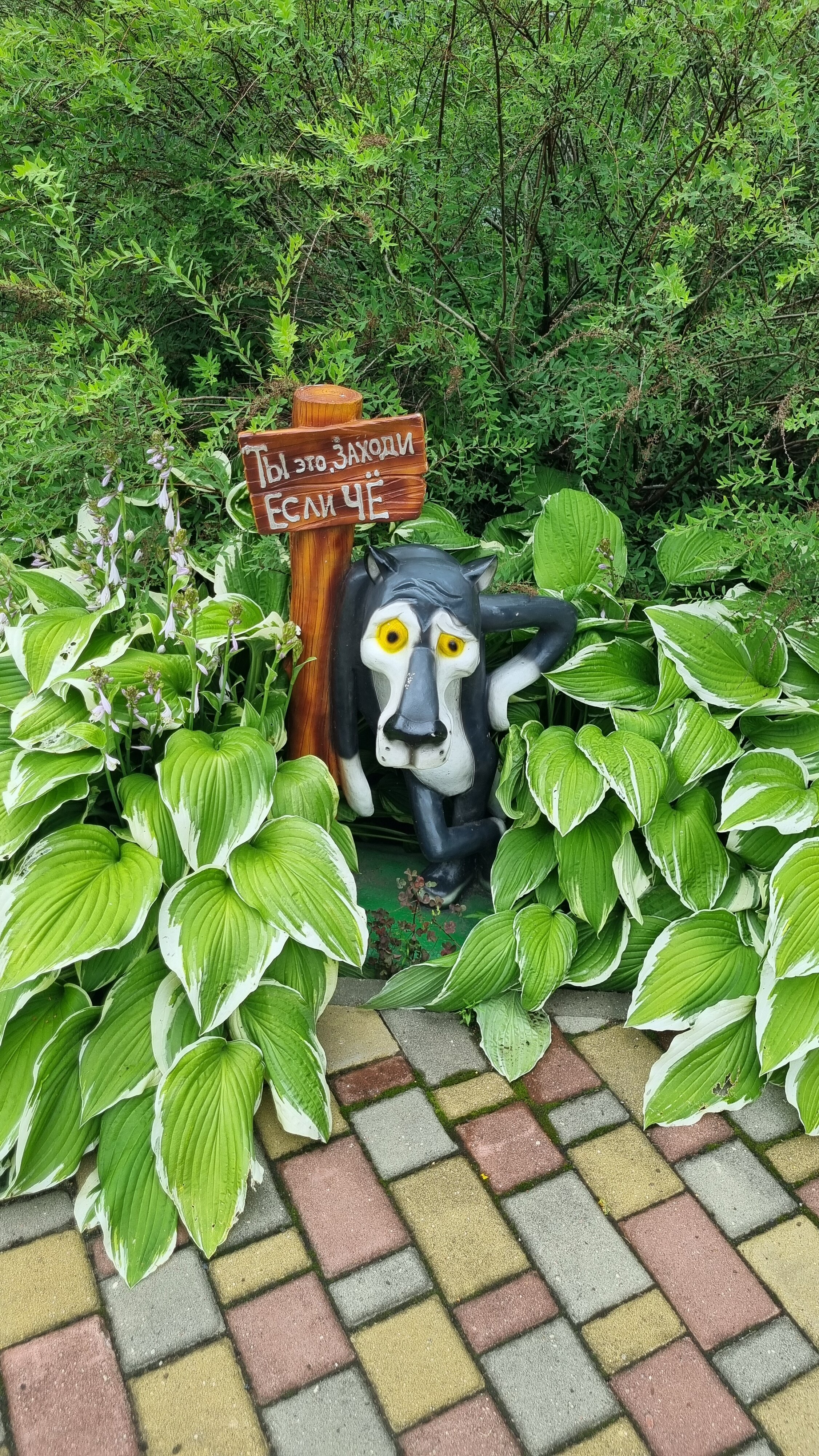 Фото Кентавр