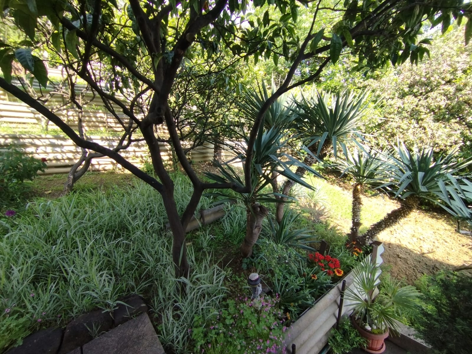 Фото У Артема и Сусанны