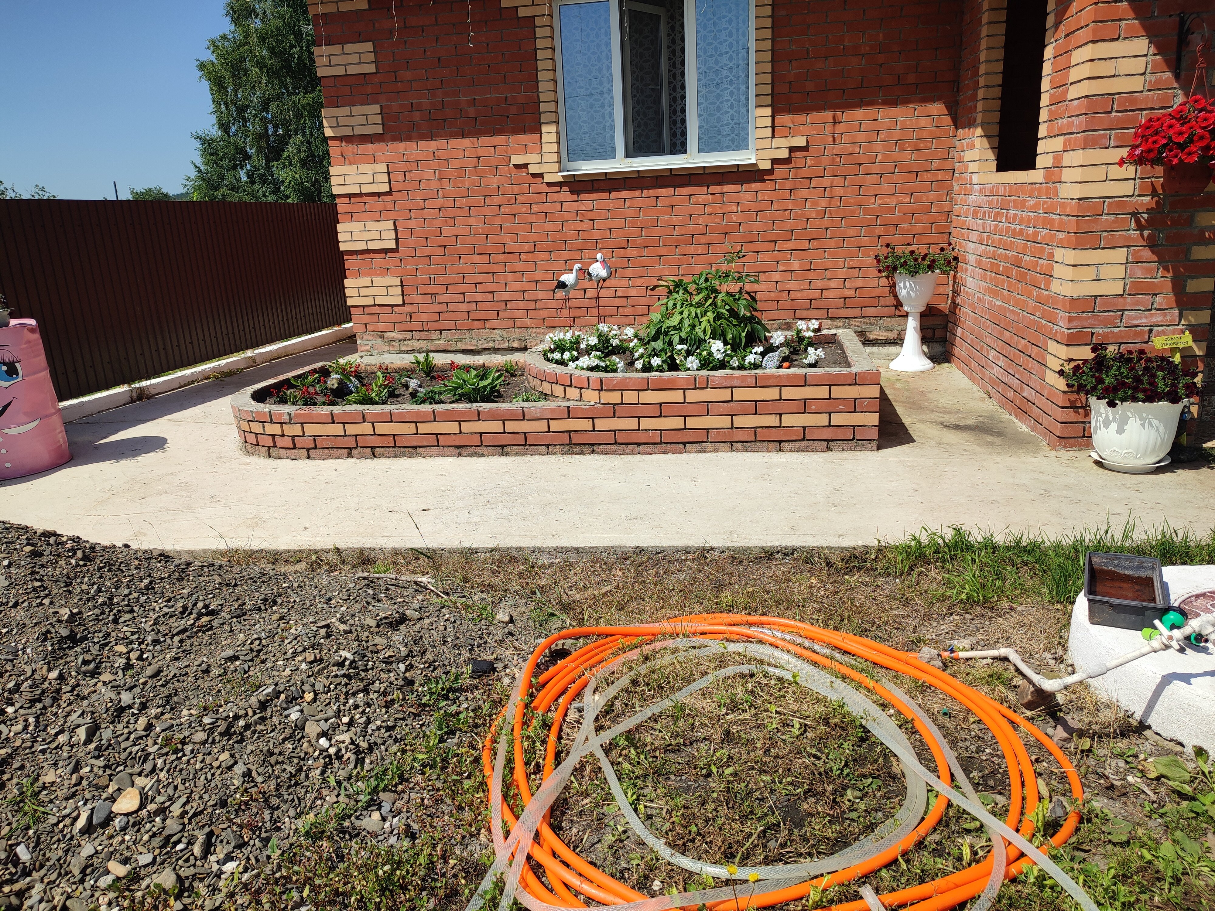 Фото Путник