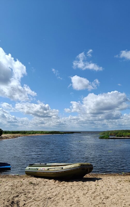 Берёзка — фото 42