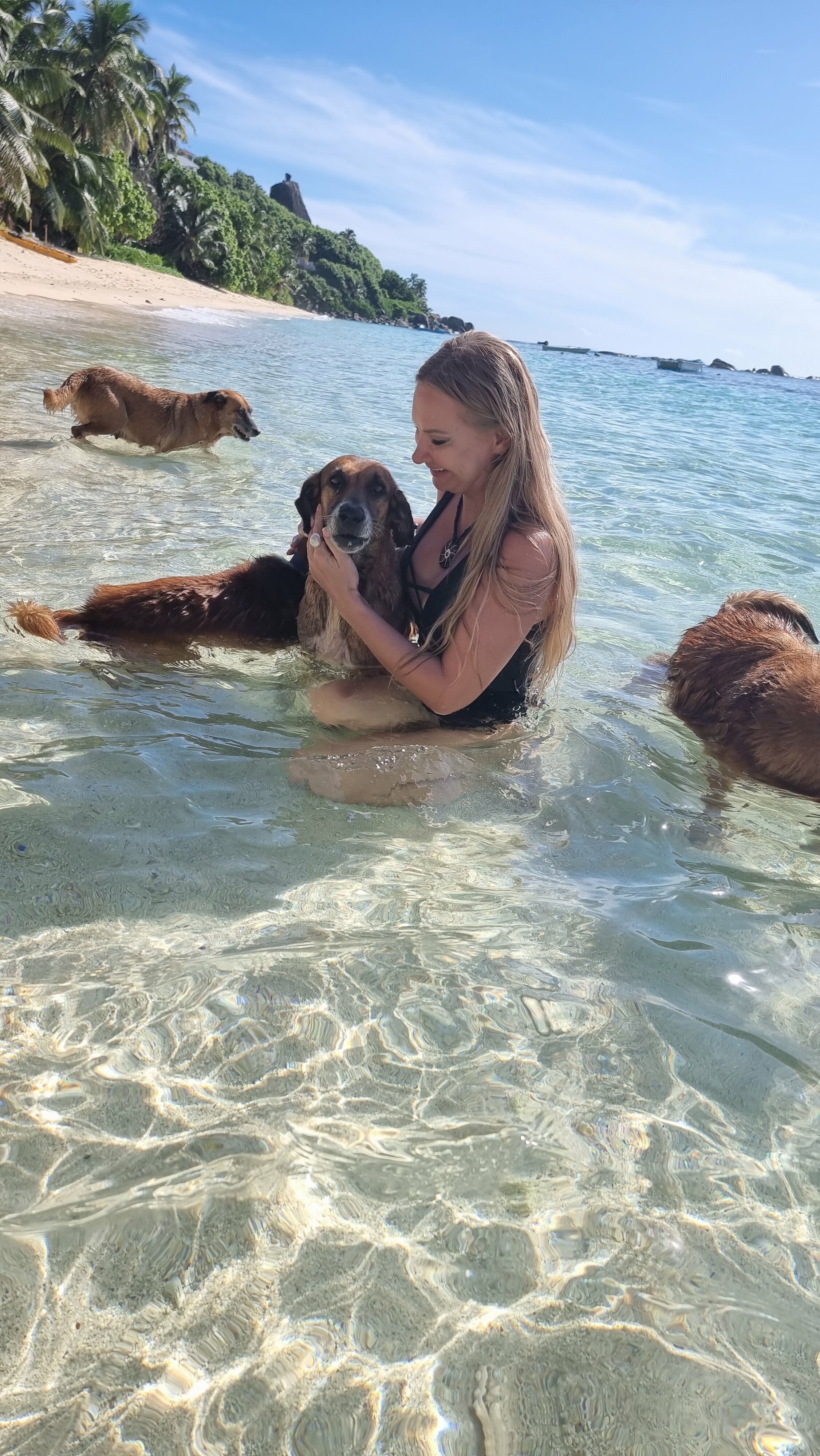 Фото DoubleTree by Hilton Seychelles - Allamanda Resort and SPA