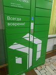 Сберлогистика (Dobrokhotova Drive, 5) ، الطرود الآلي