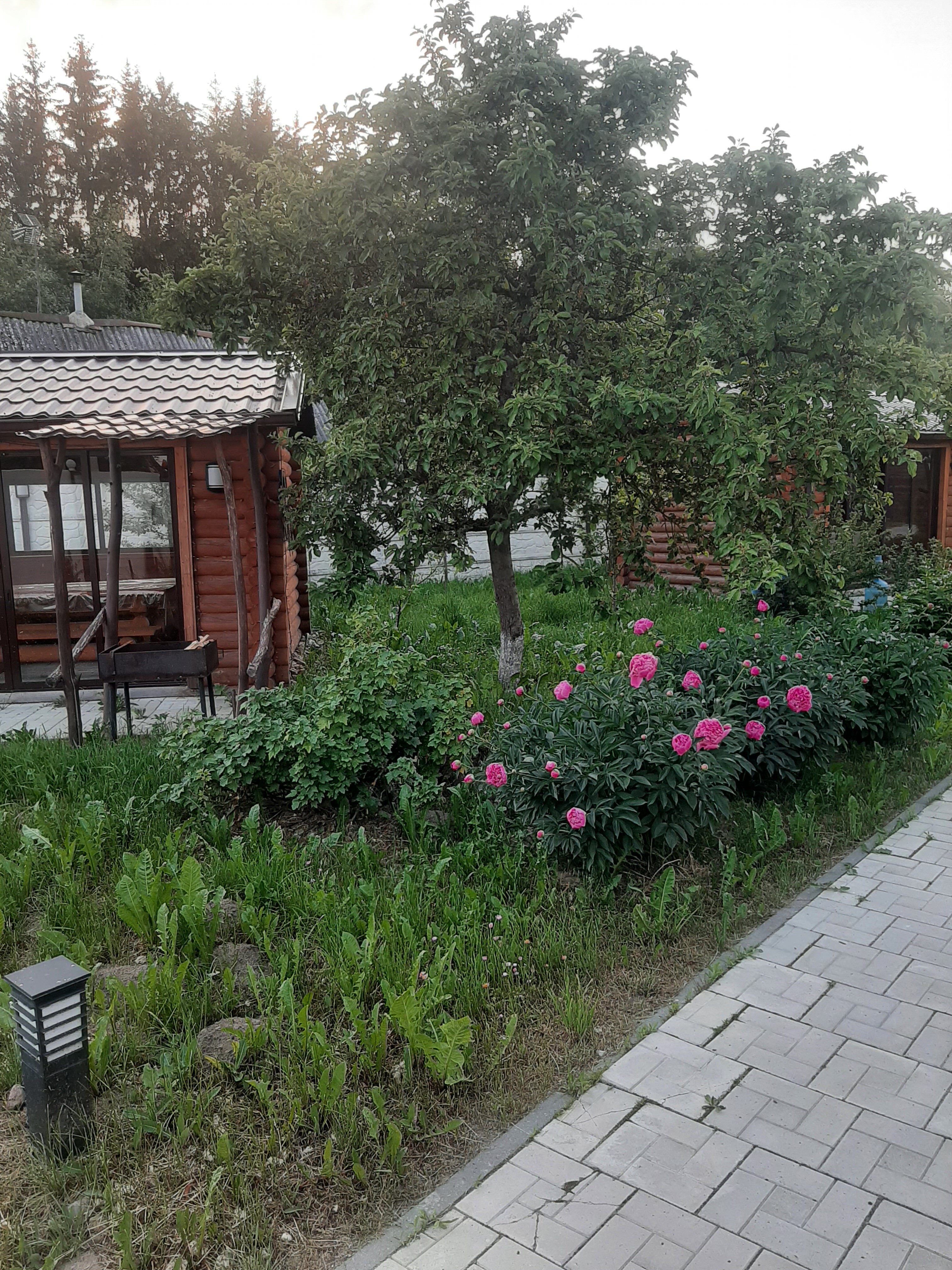 Фото Агроусадьба Смольница