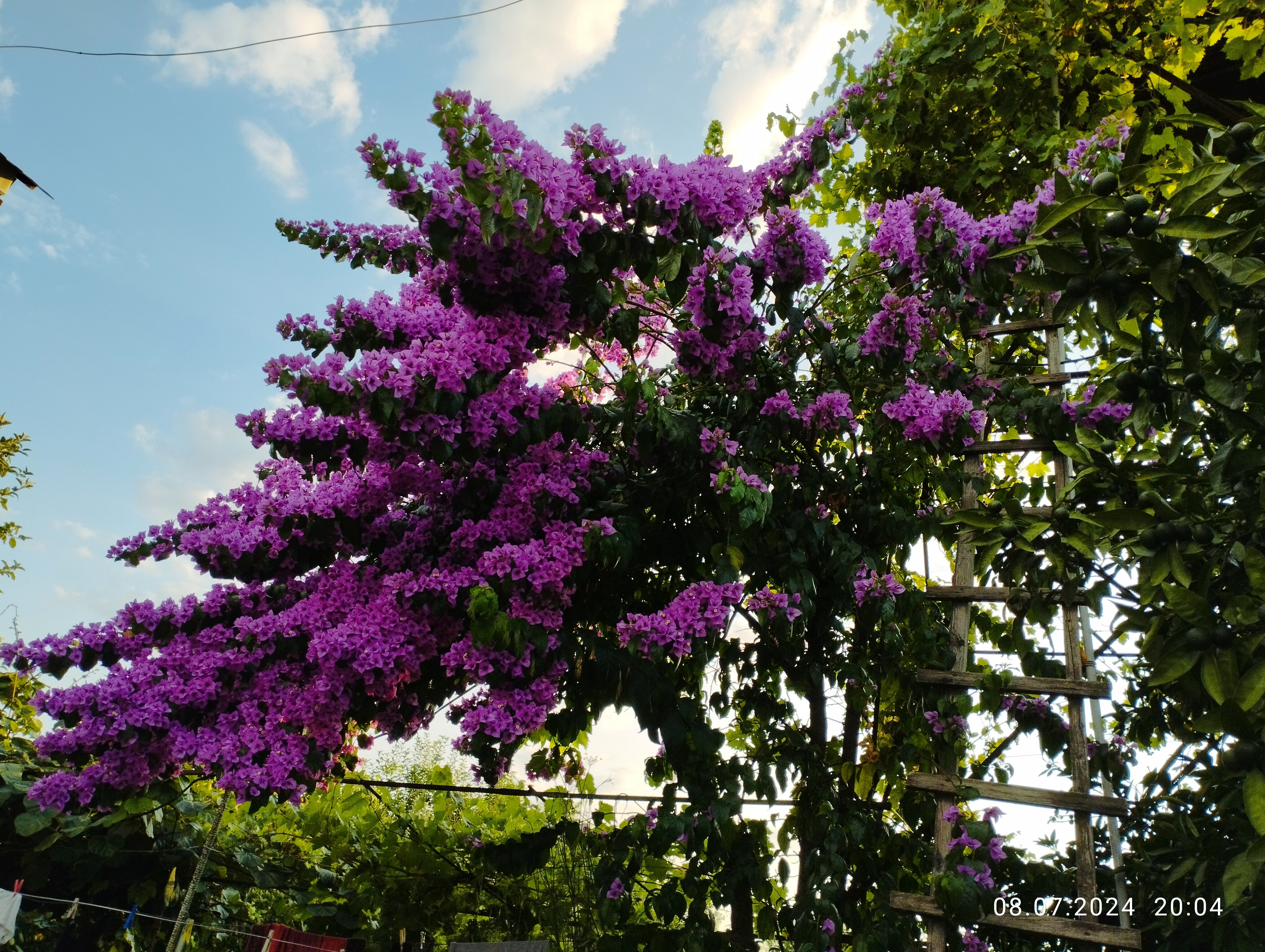 Фото у Норика и Сусанны