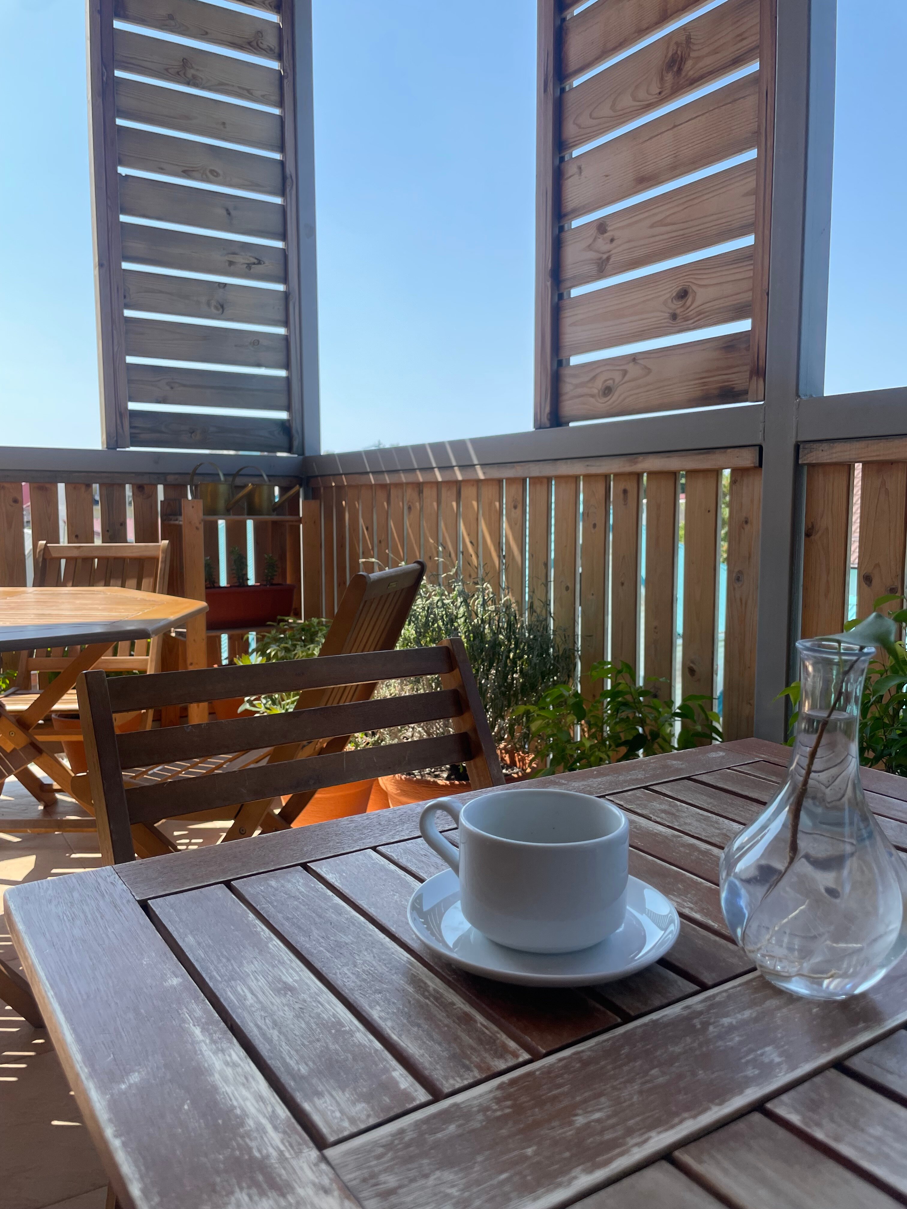 Фото Гармония