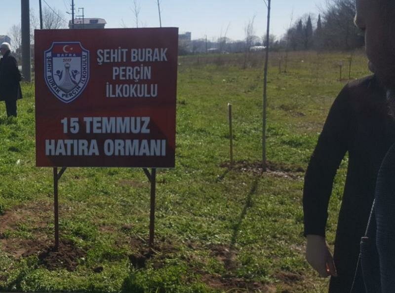 Primary school Martyr Burak Percin Primary School, Bafra, photo