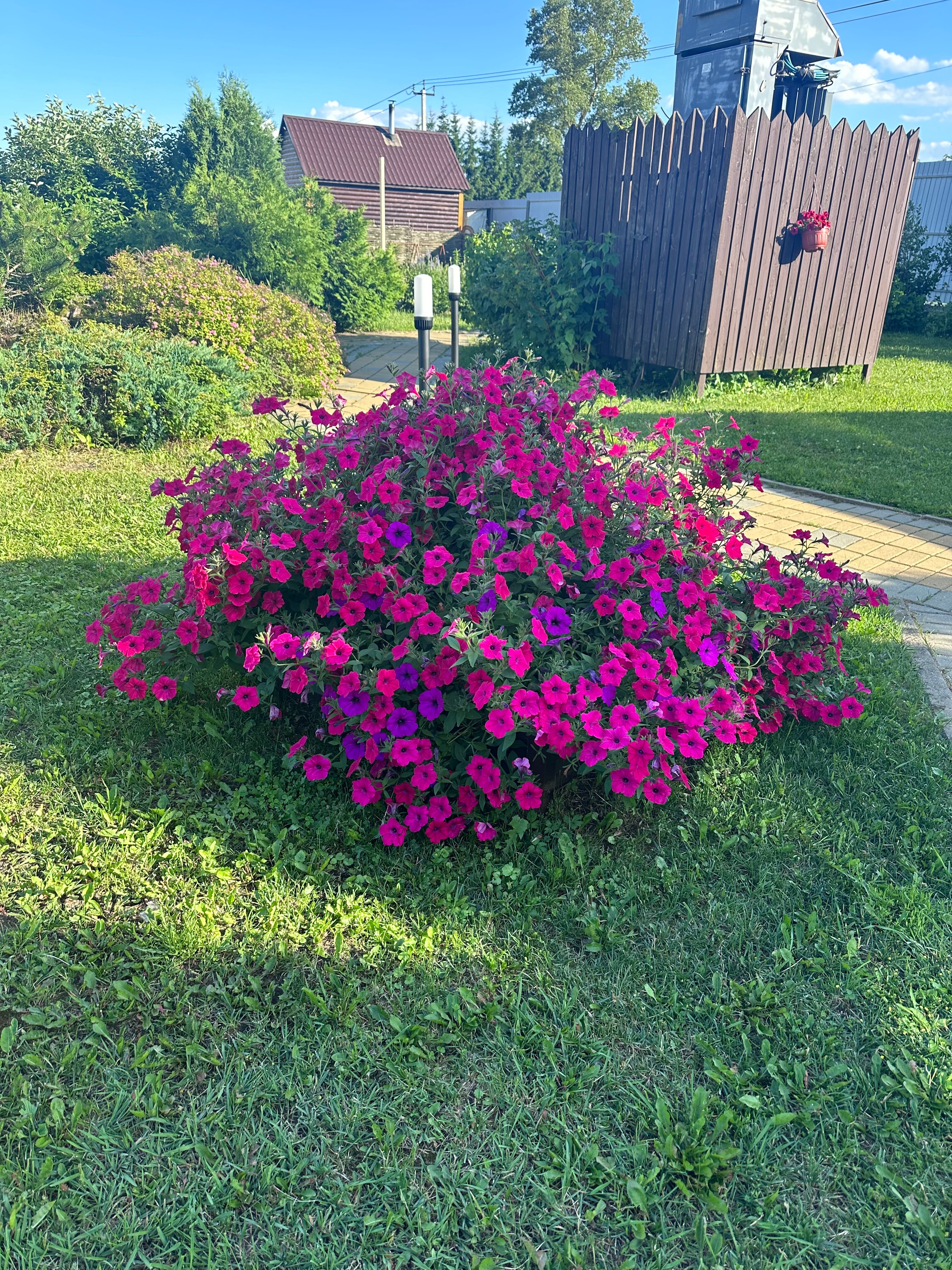 Фото Акварель