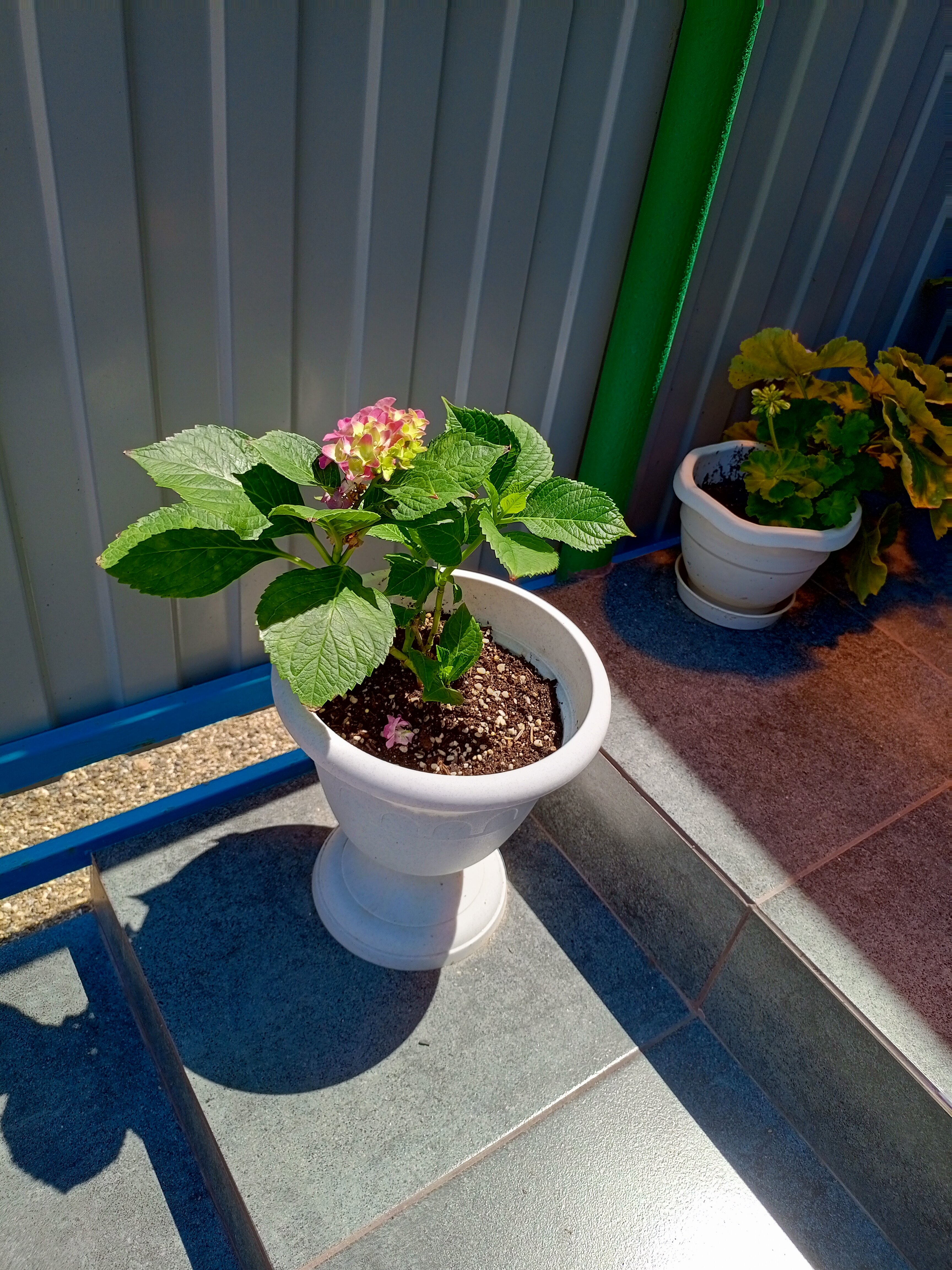 Фото Герман