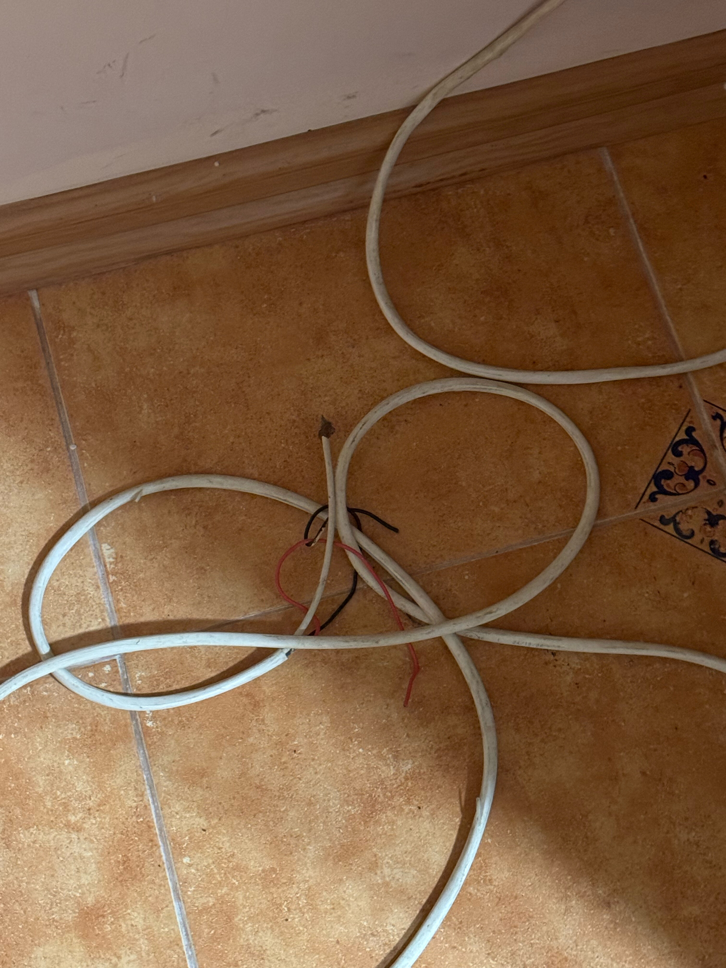 Фото Моцарт ин