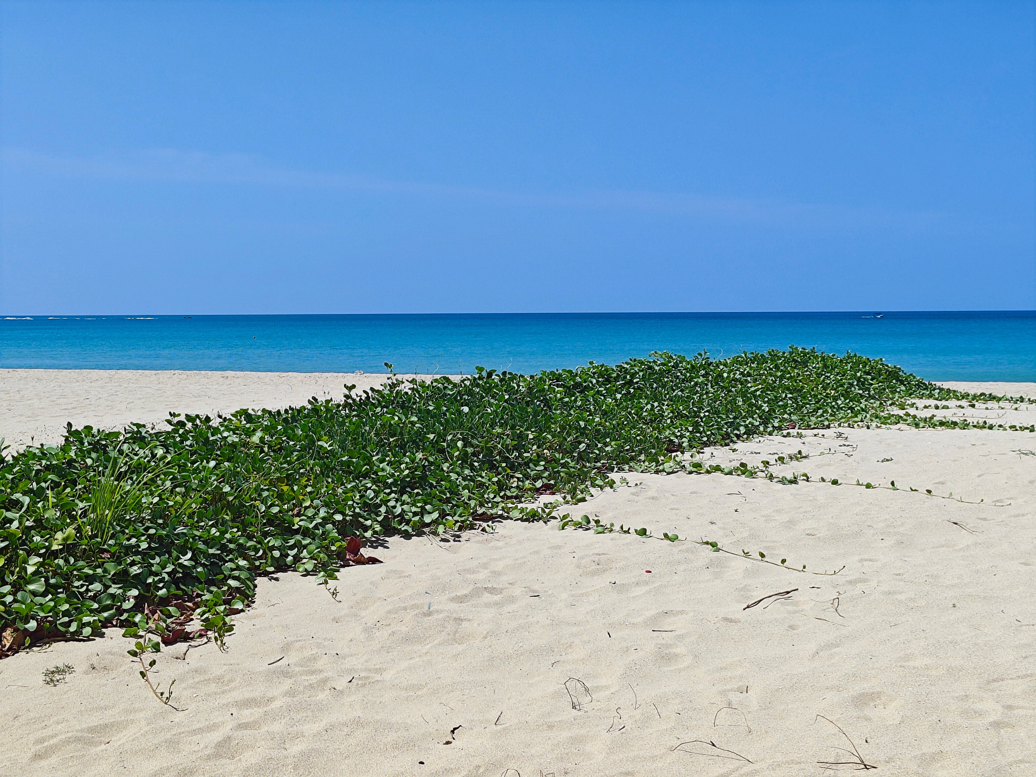 Фото Uga Bay by Uga Escapes