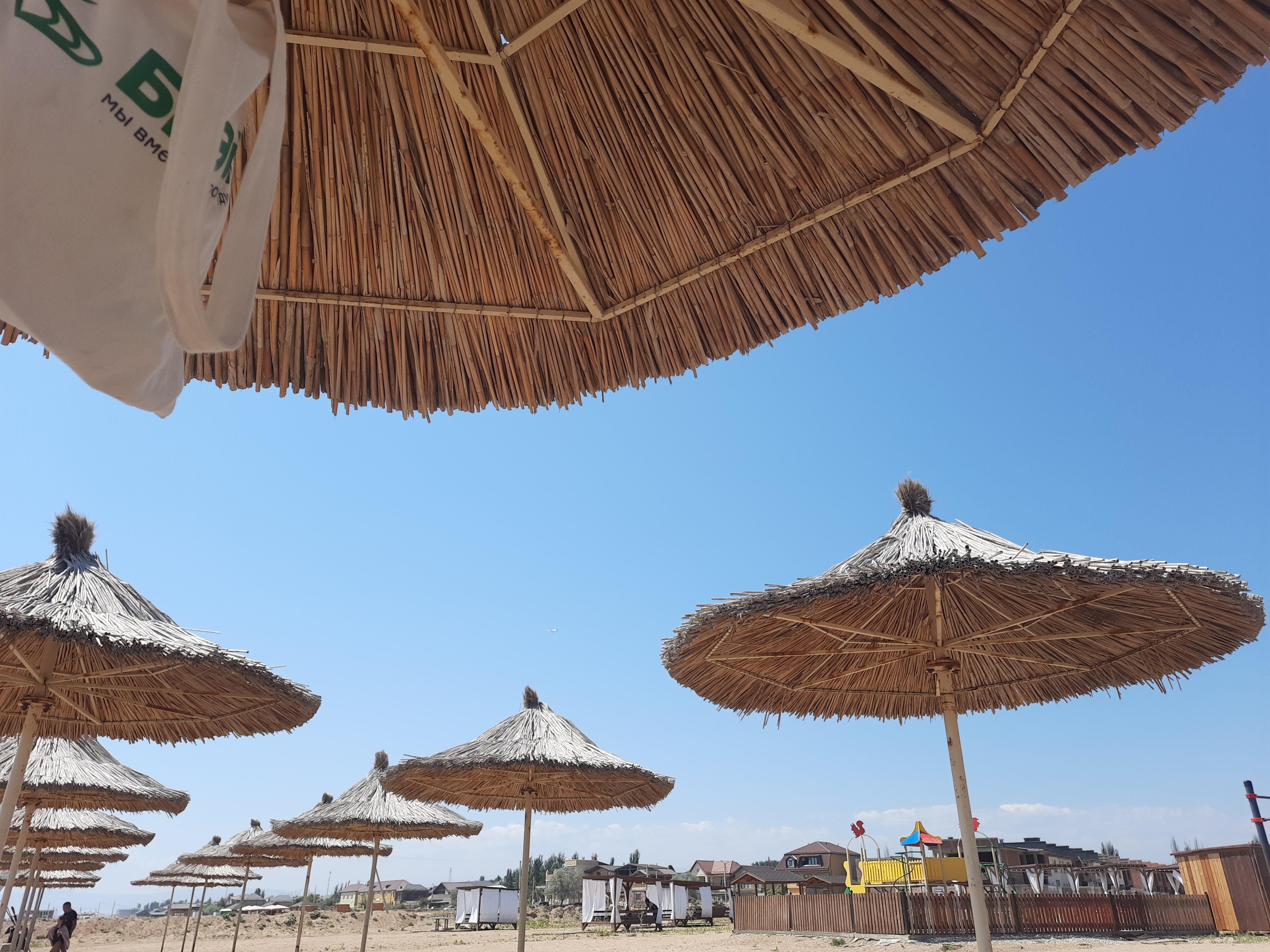 Фото Белуга