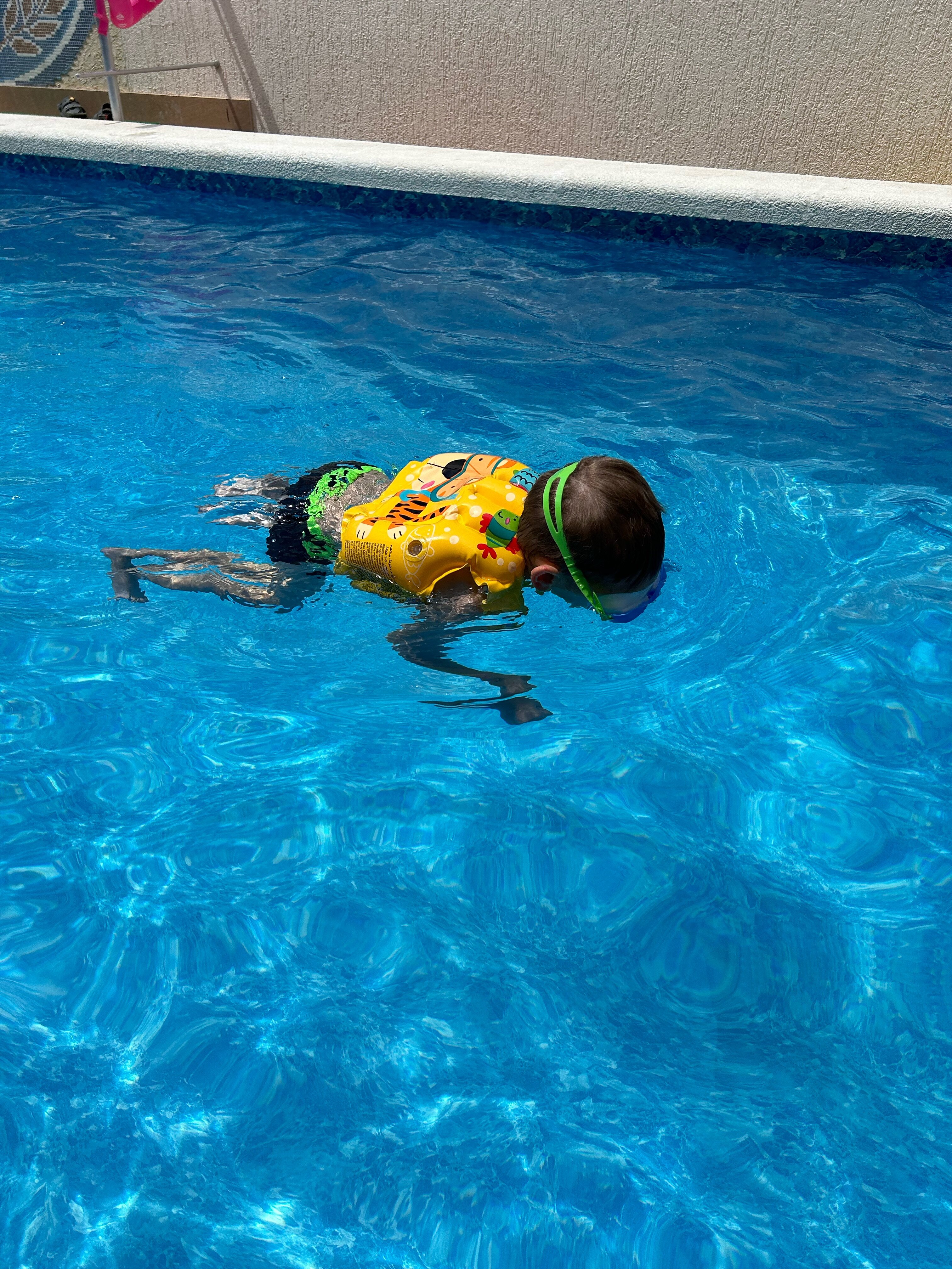 Фото Палладион