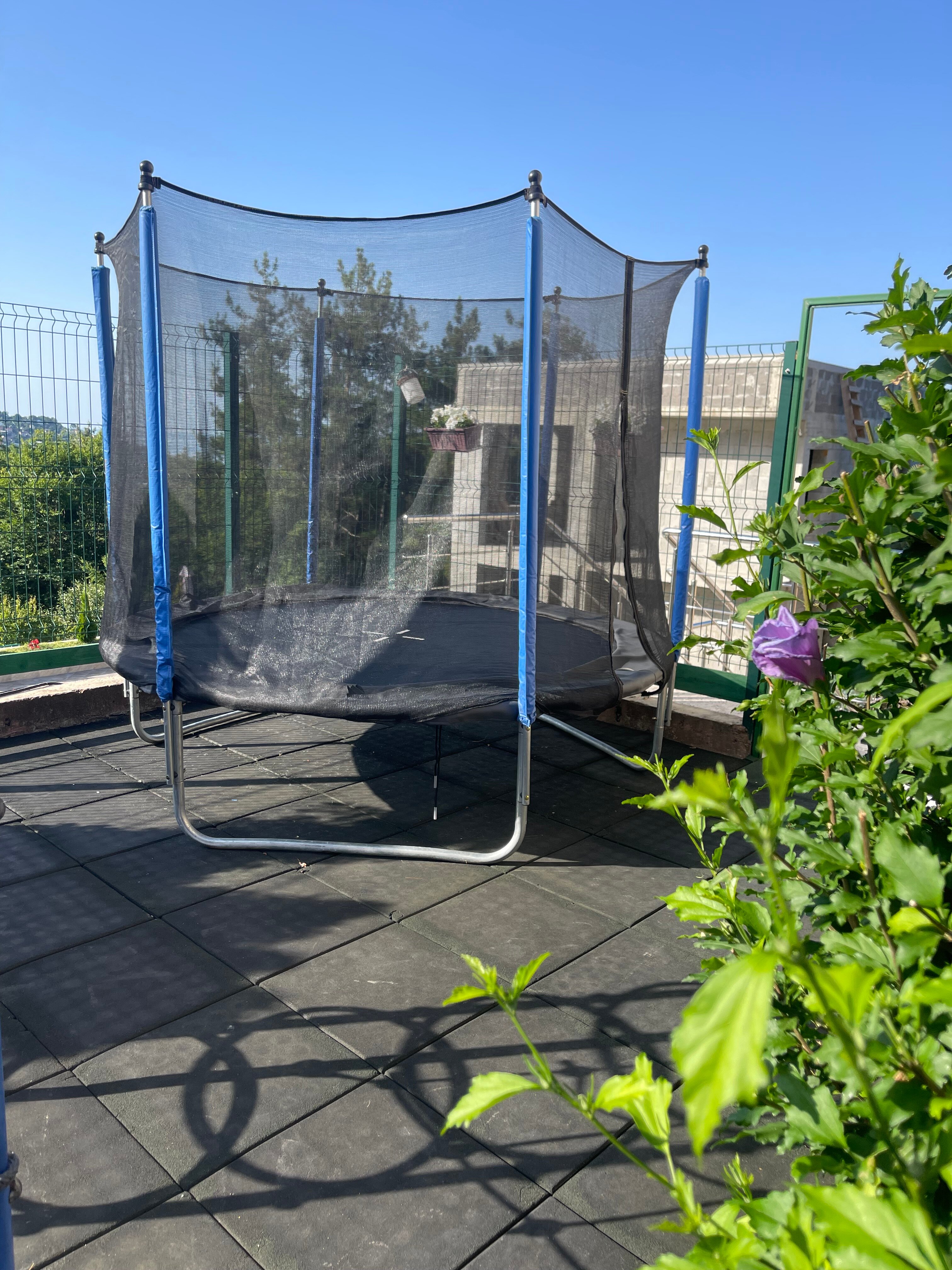 Фото Оллета