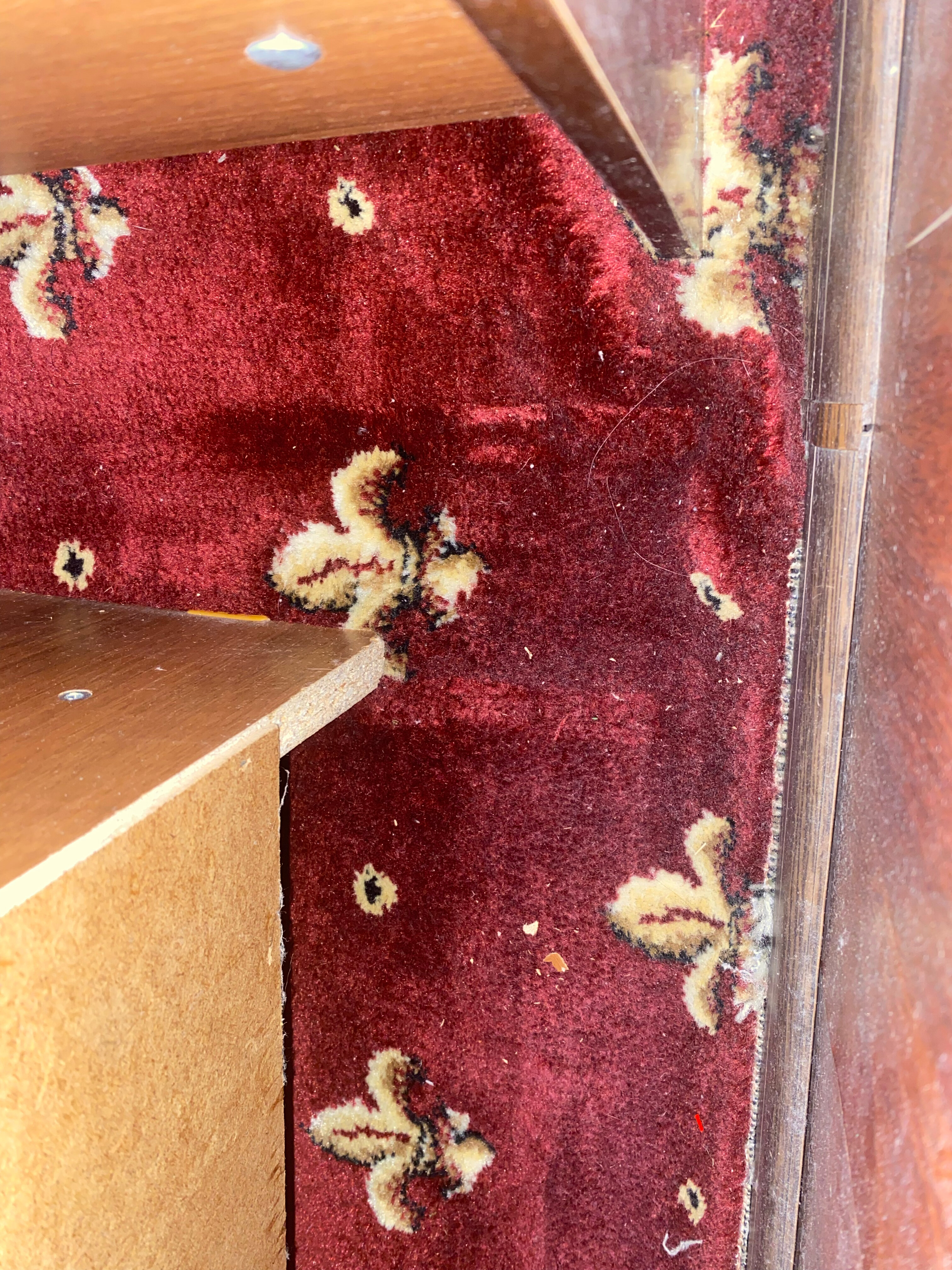 Фото Pan Tourist