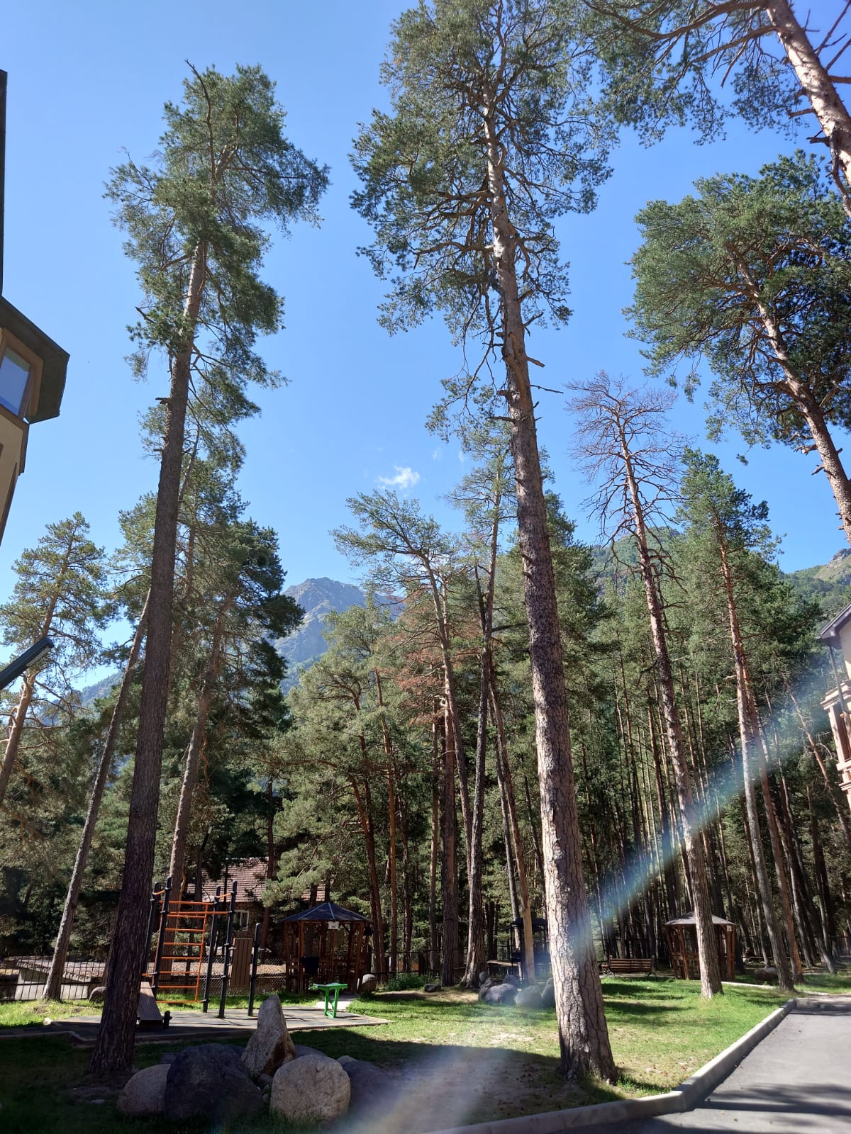 Фото Лисичкинhouse