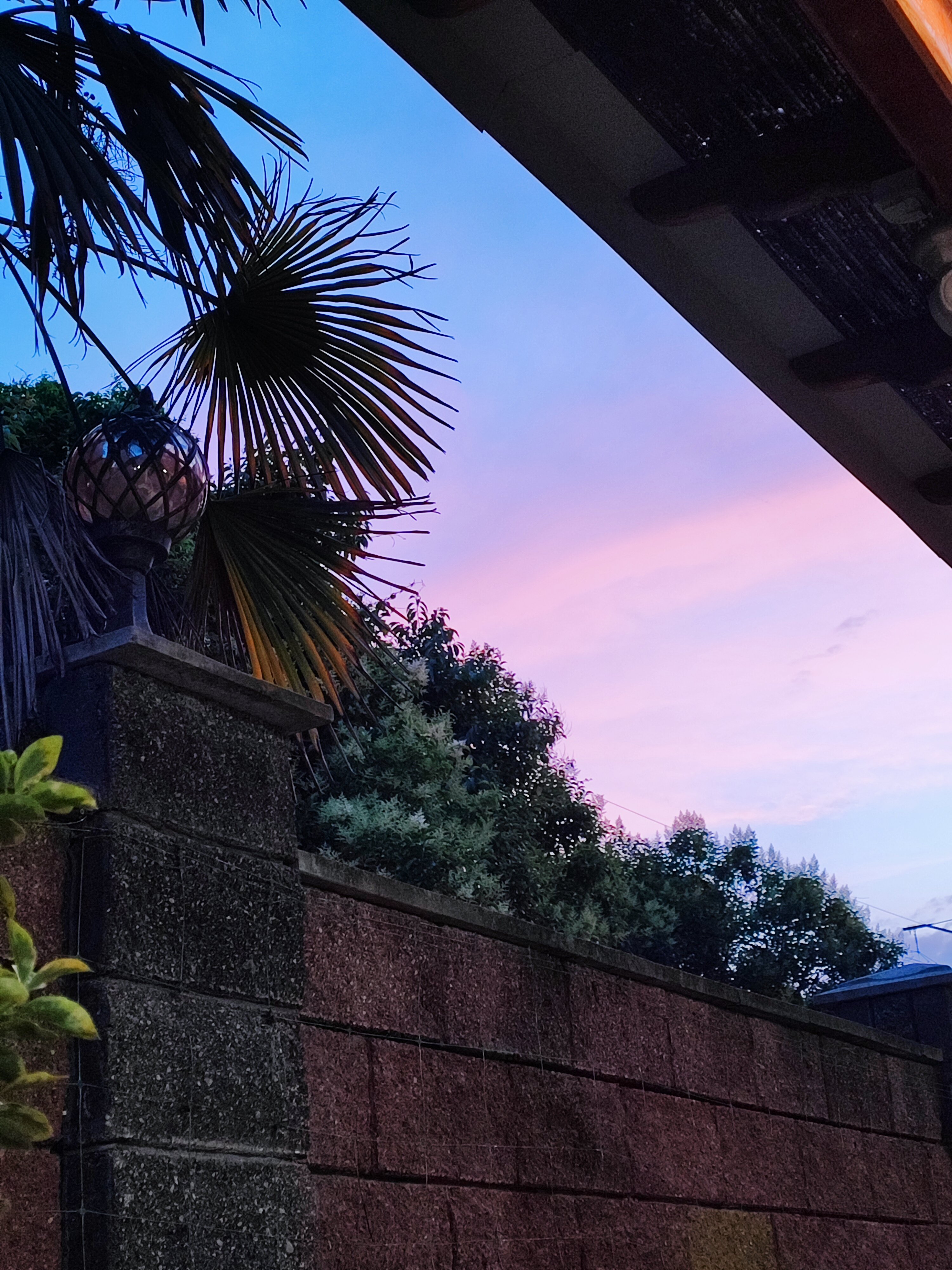 Фото Коралл