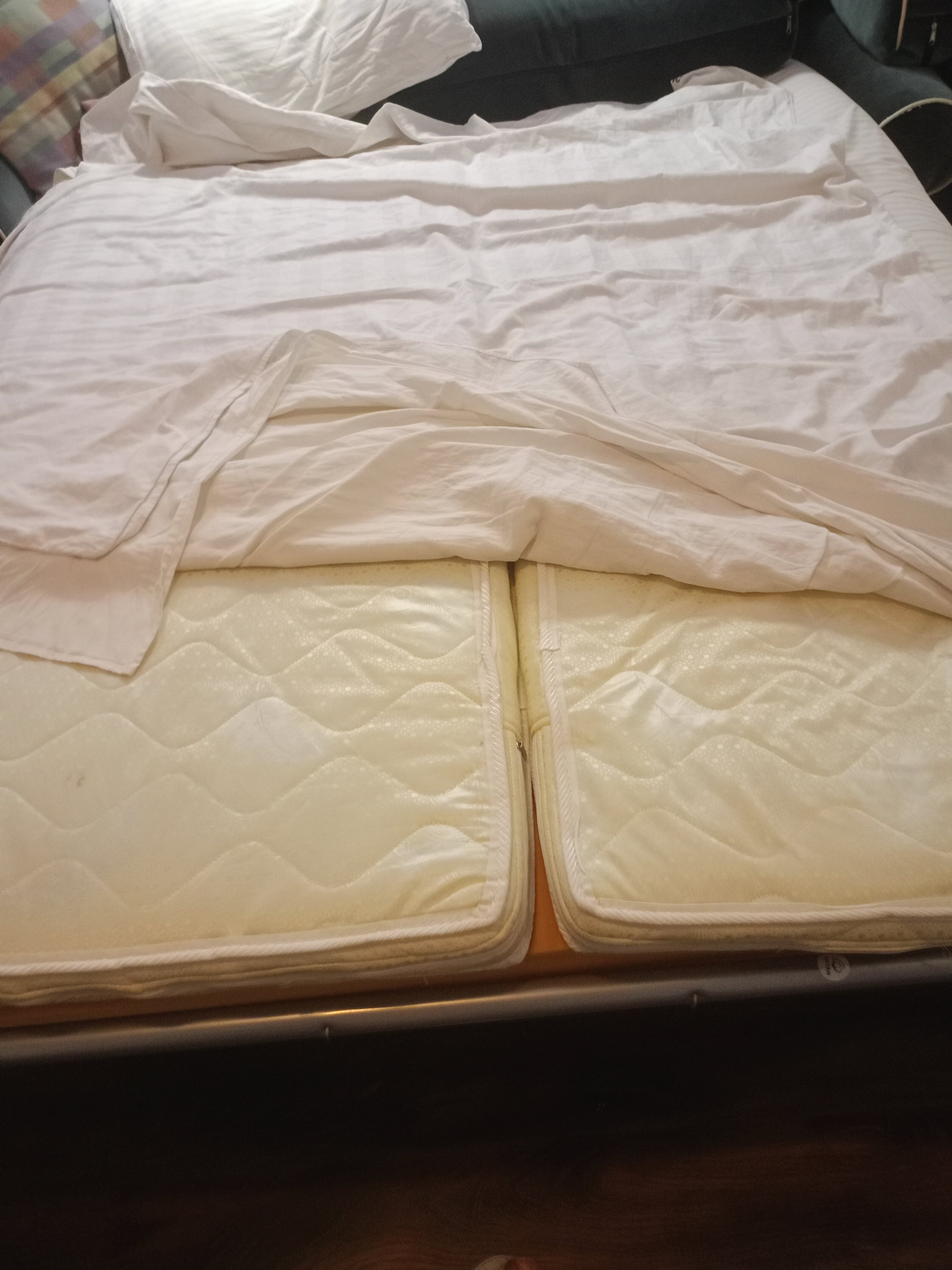 Фото Атриум