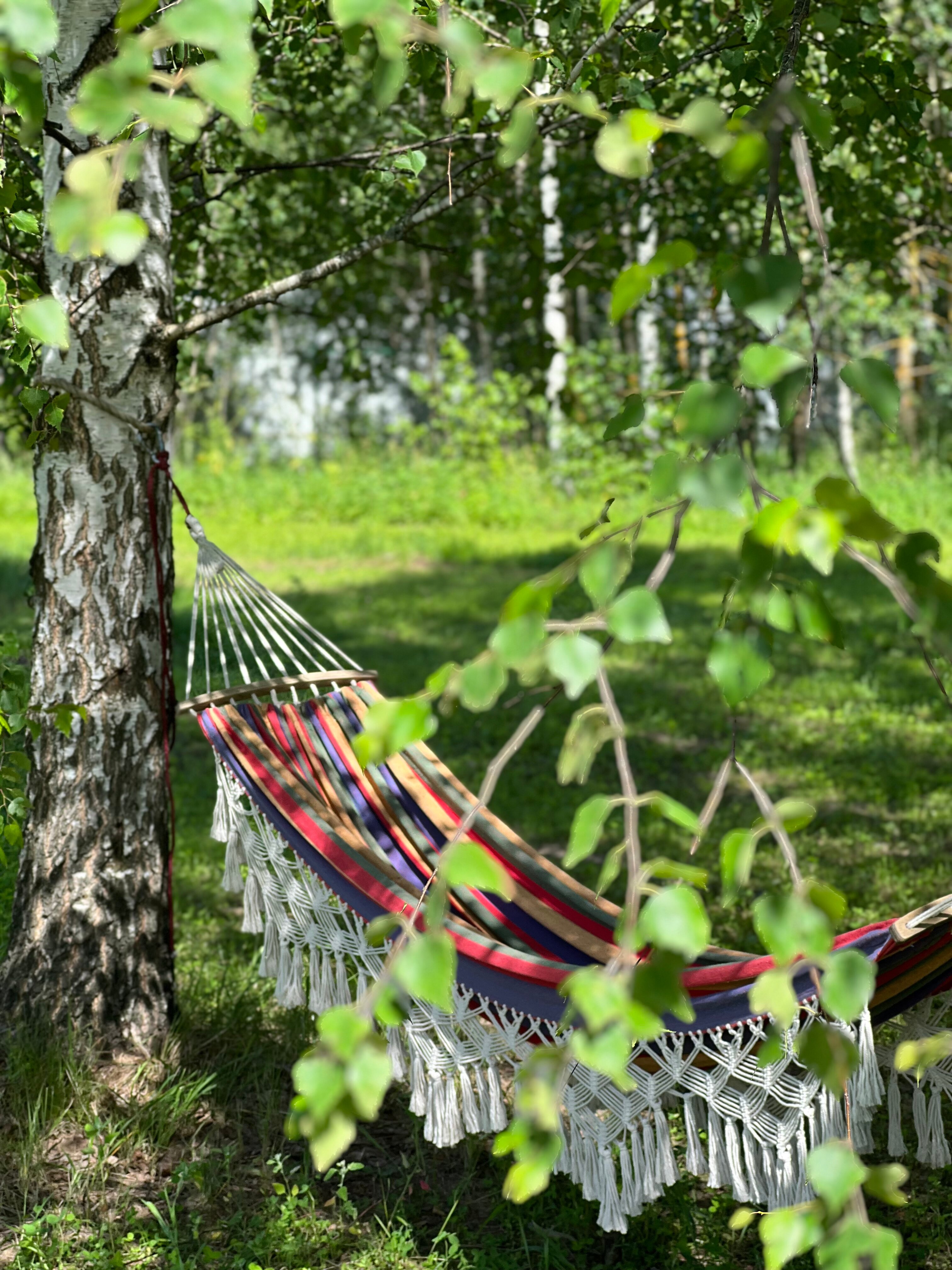 Фото Niko Chill House