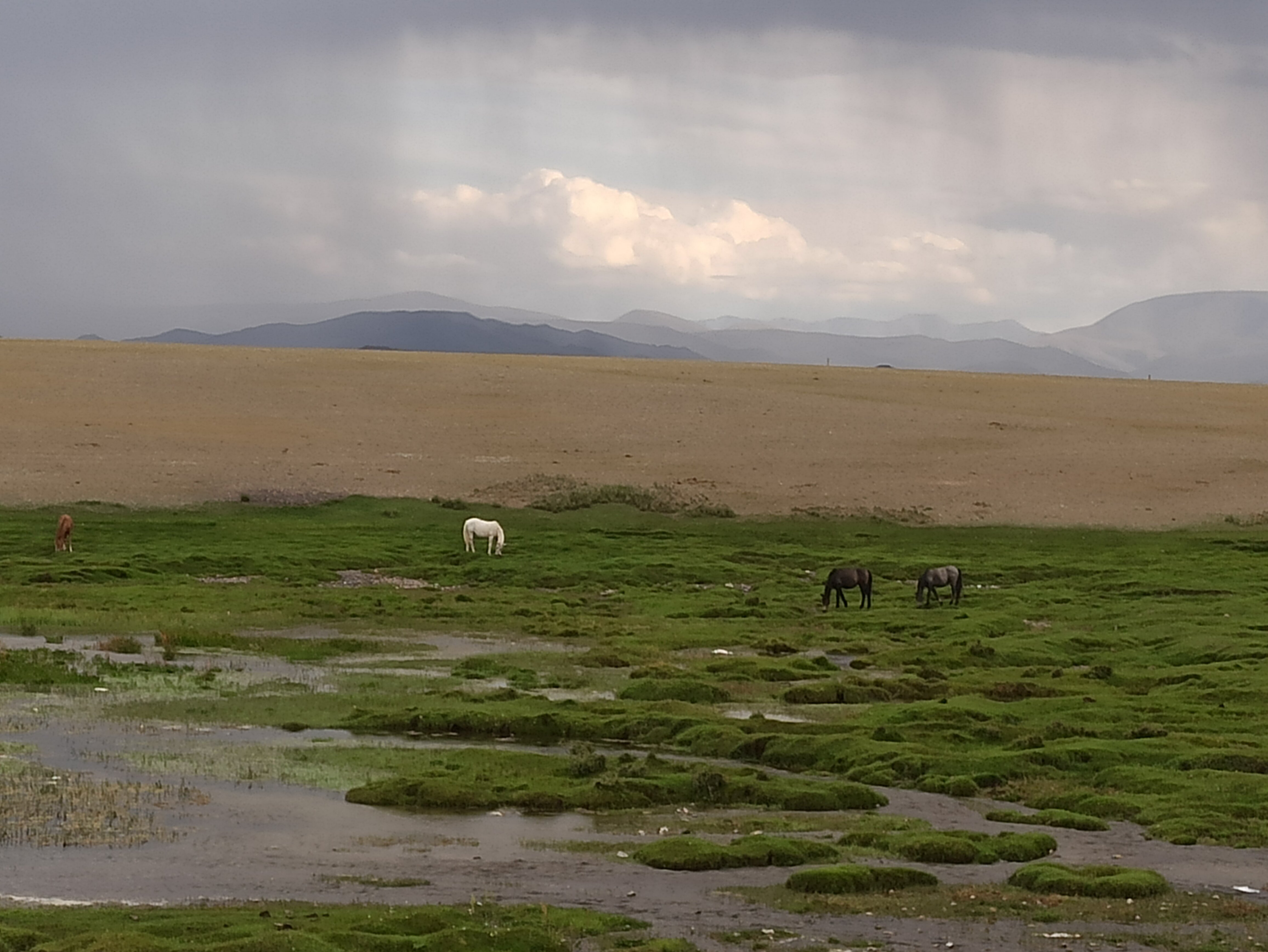 Фото Шум ручья