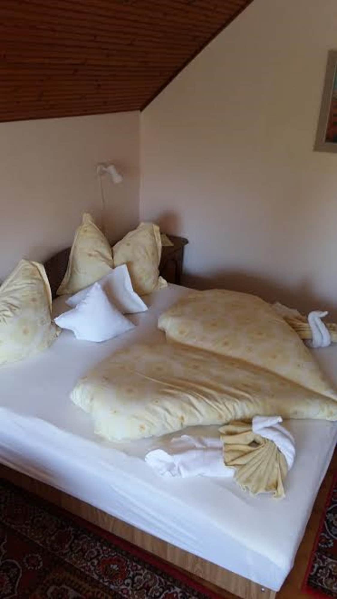 Фото Гостевой дом Toldi Panzió Hévíz