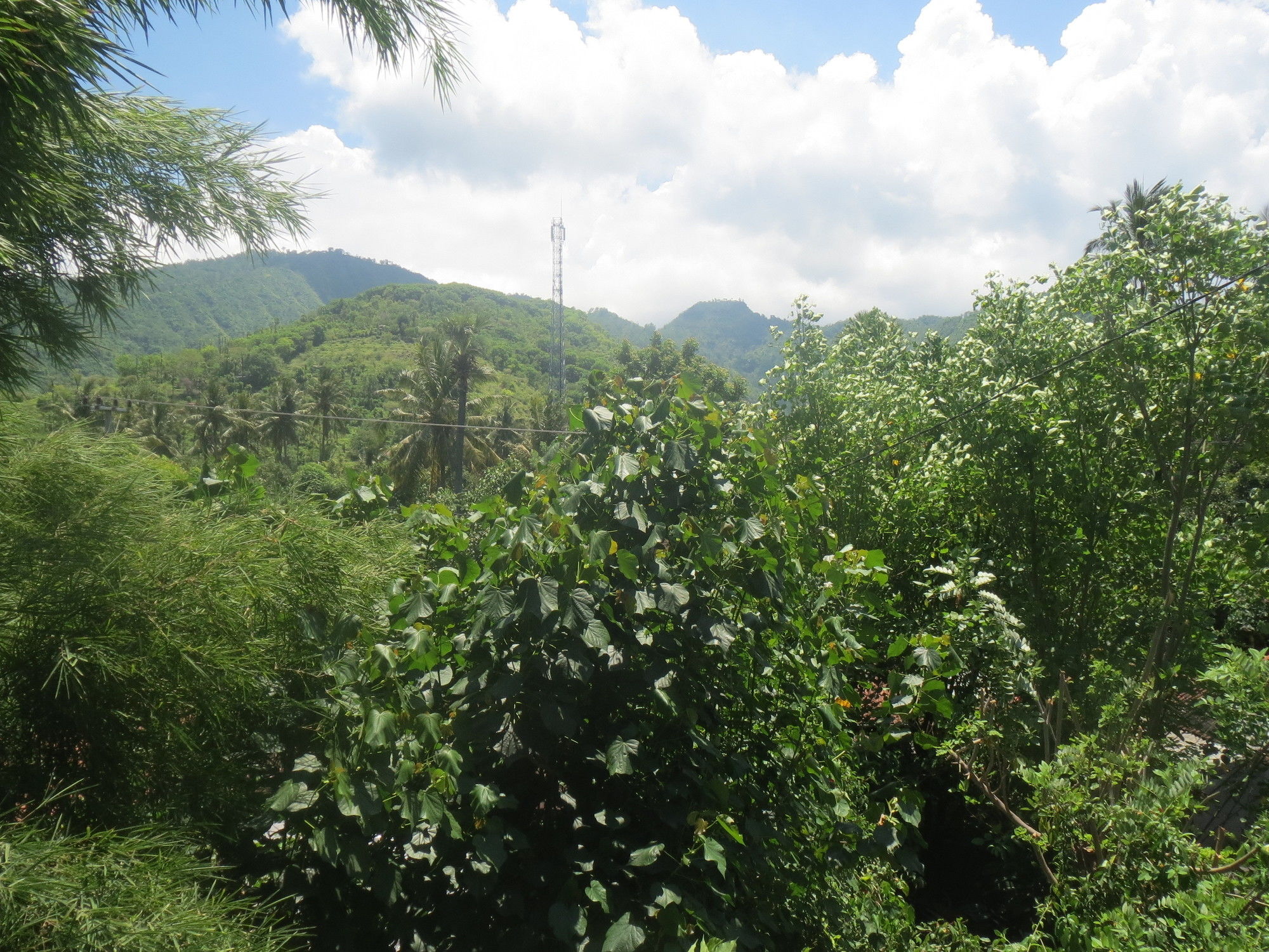 Фото Amed Sari Beach Guesthouse