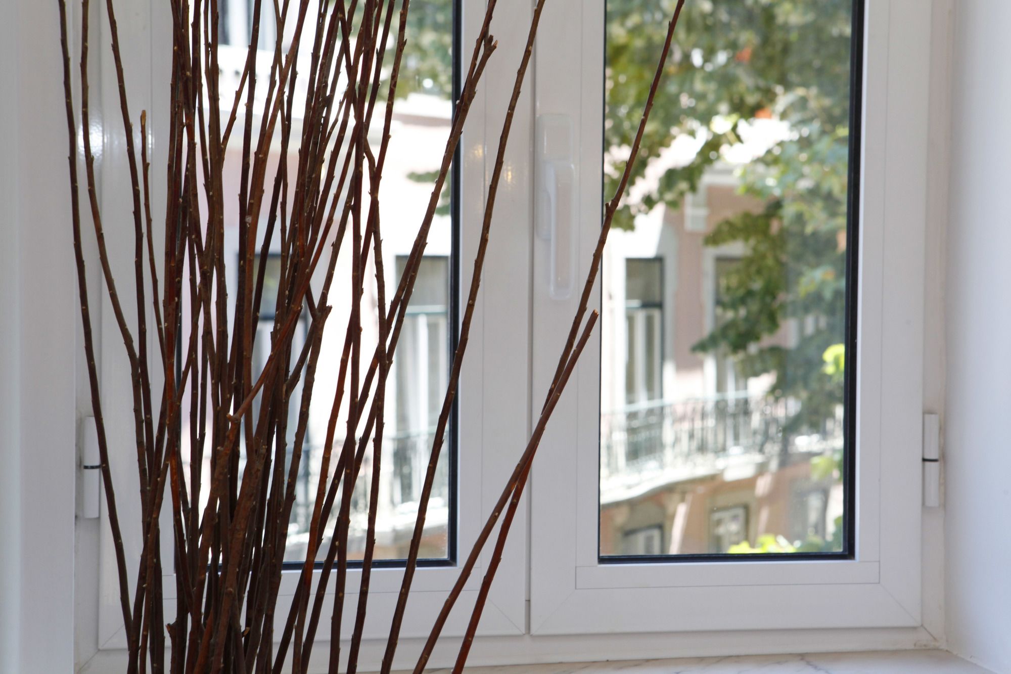 Фото Flores Guest House