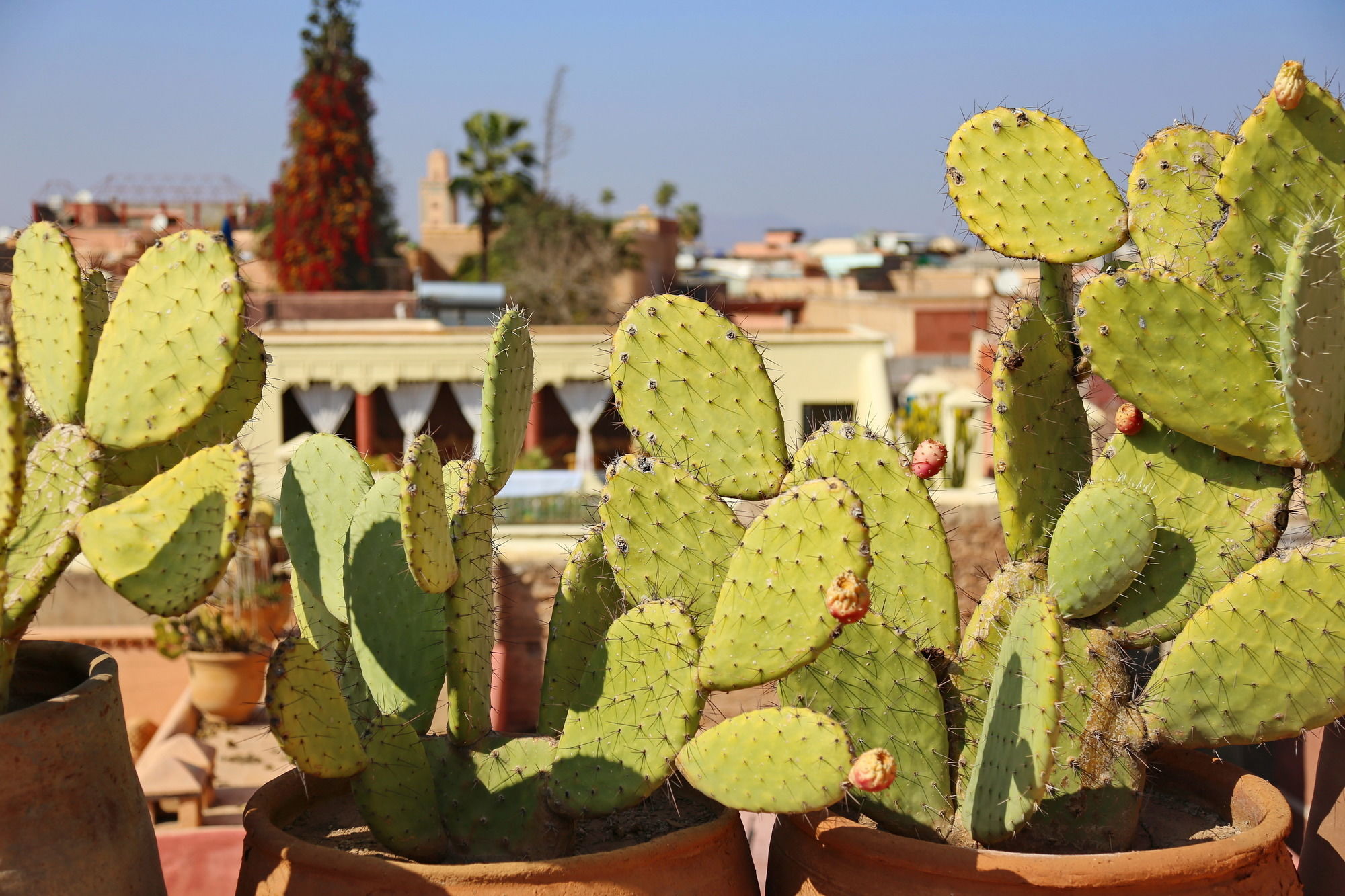 Фото Riad Marrakiss