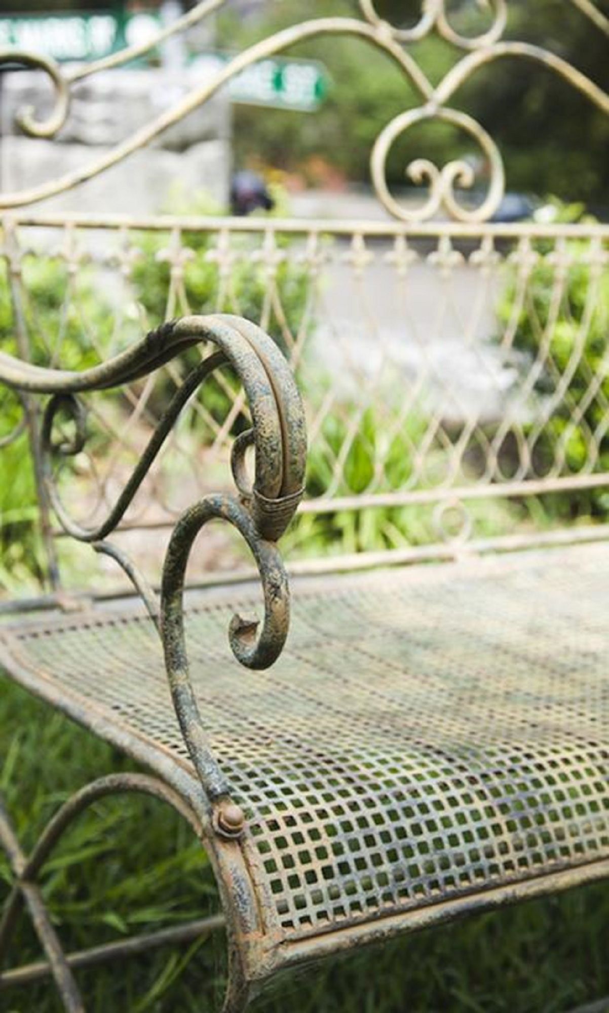 Фото St Marks Randwick