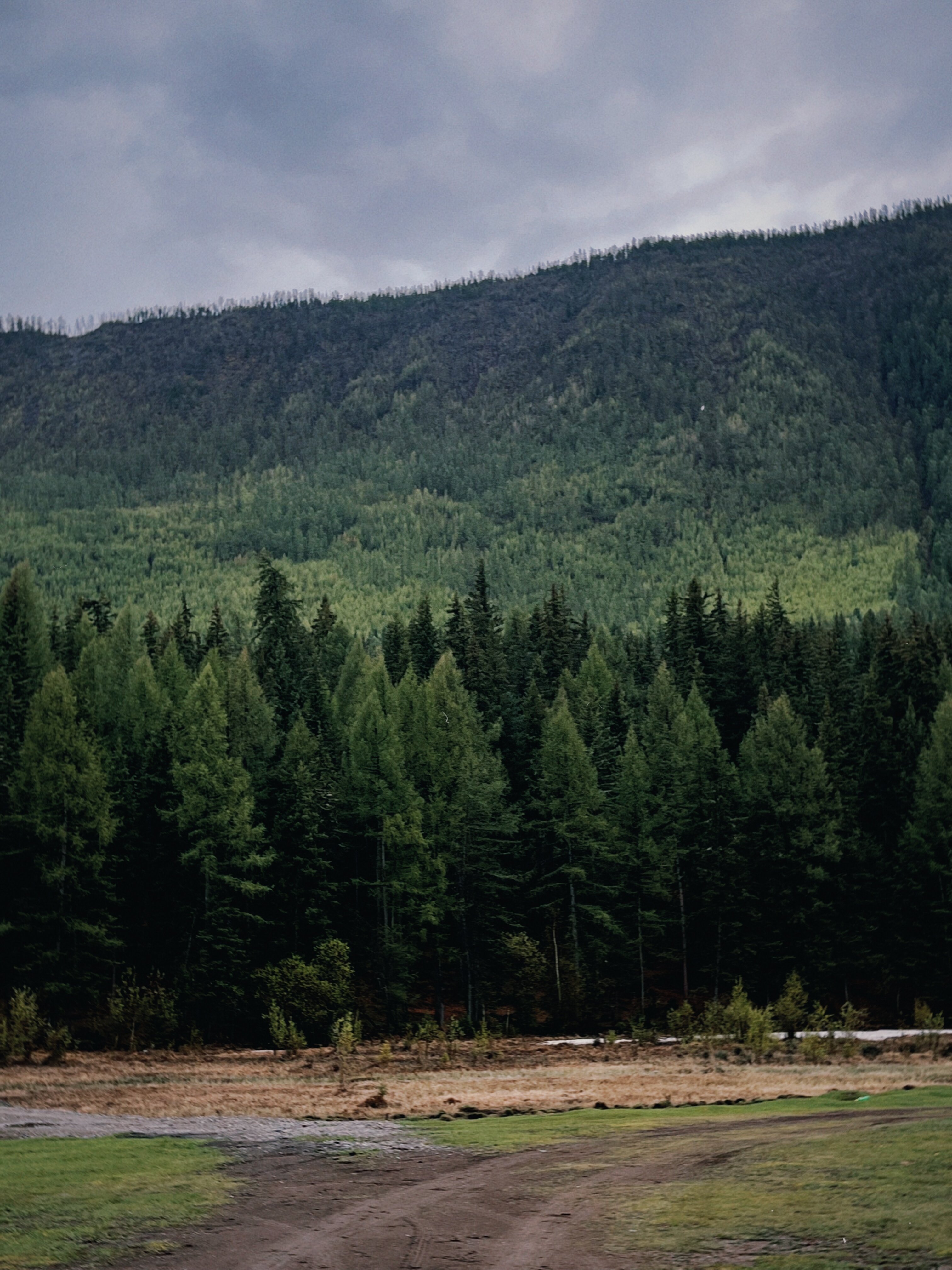 Фото Этнодом Юрта