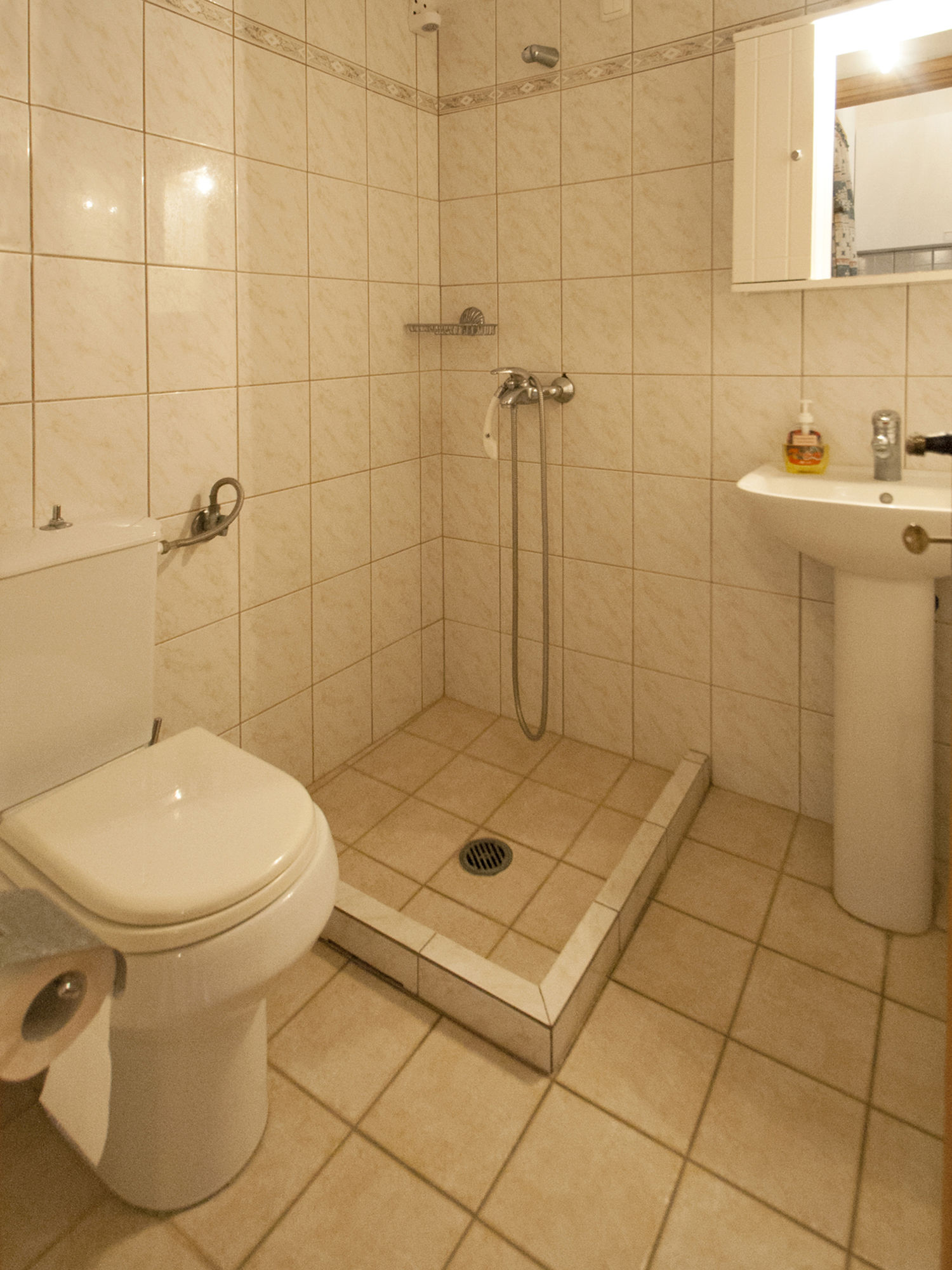 Фото Pension Laura