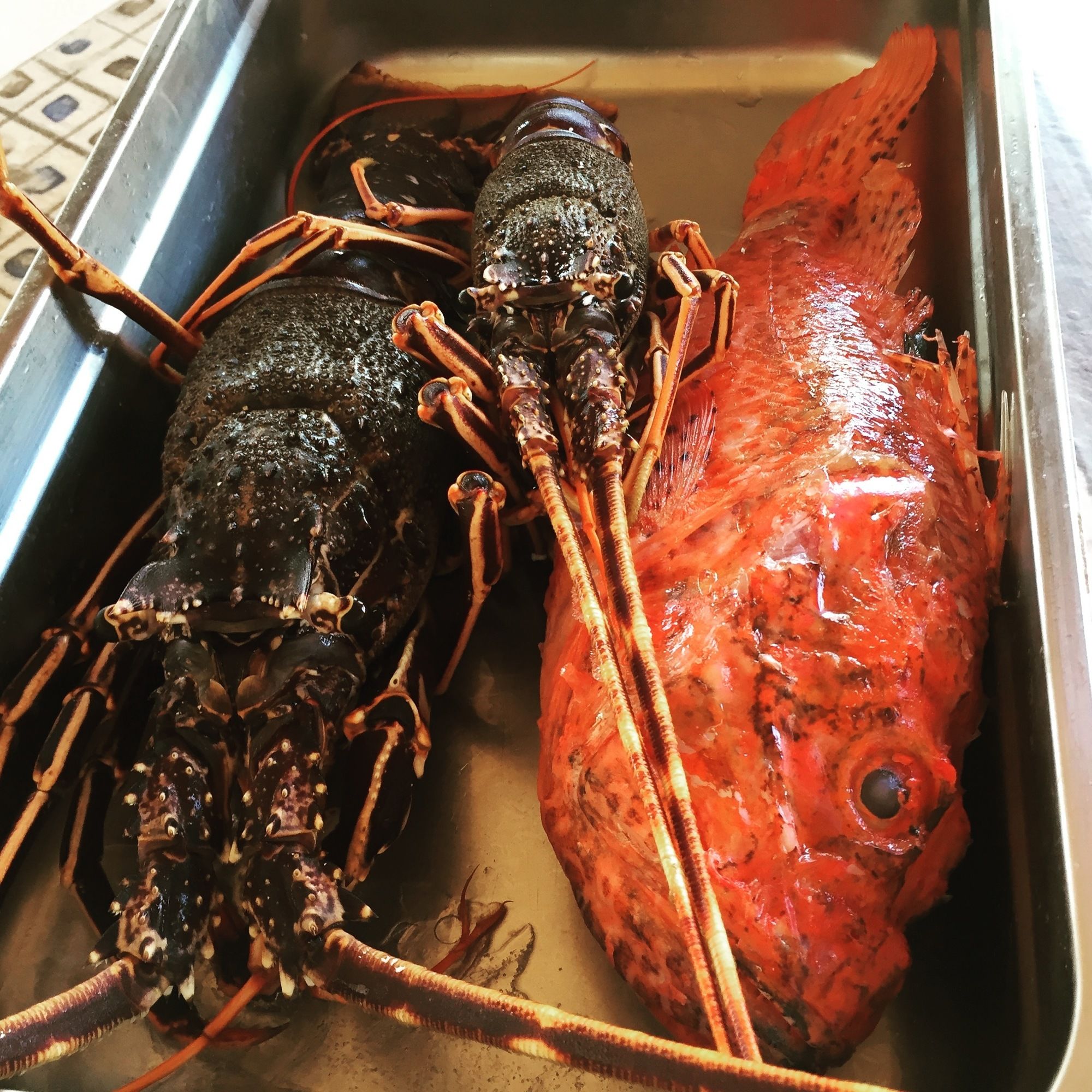 Фото Gerani Studios