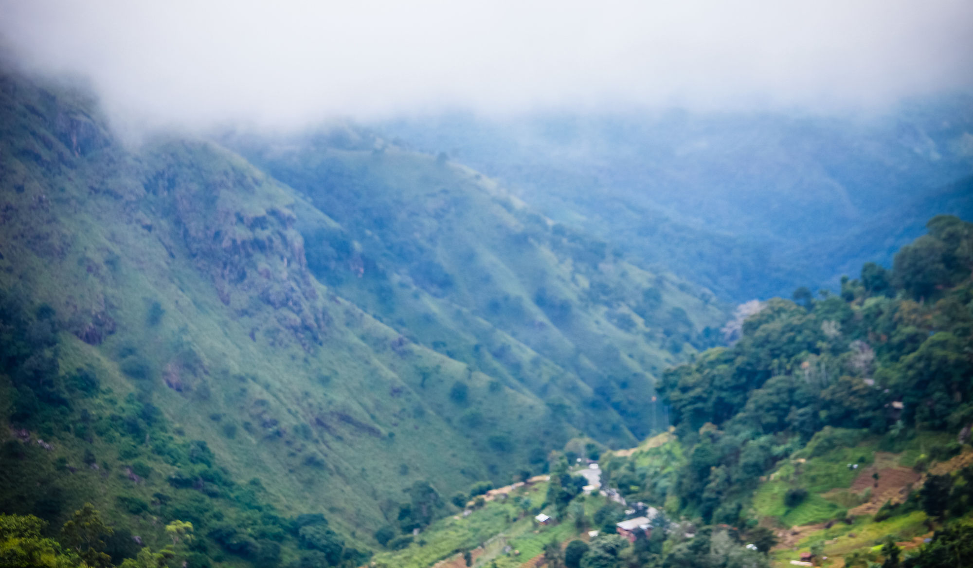 Фото Ella Eco Lodge