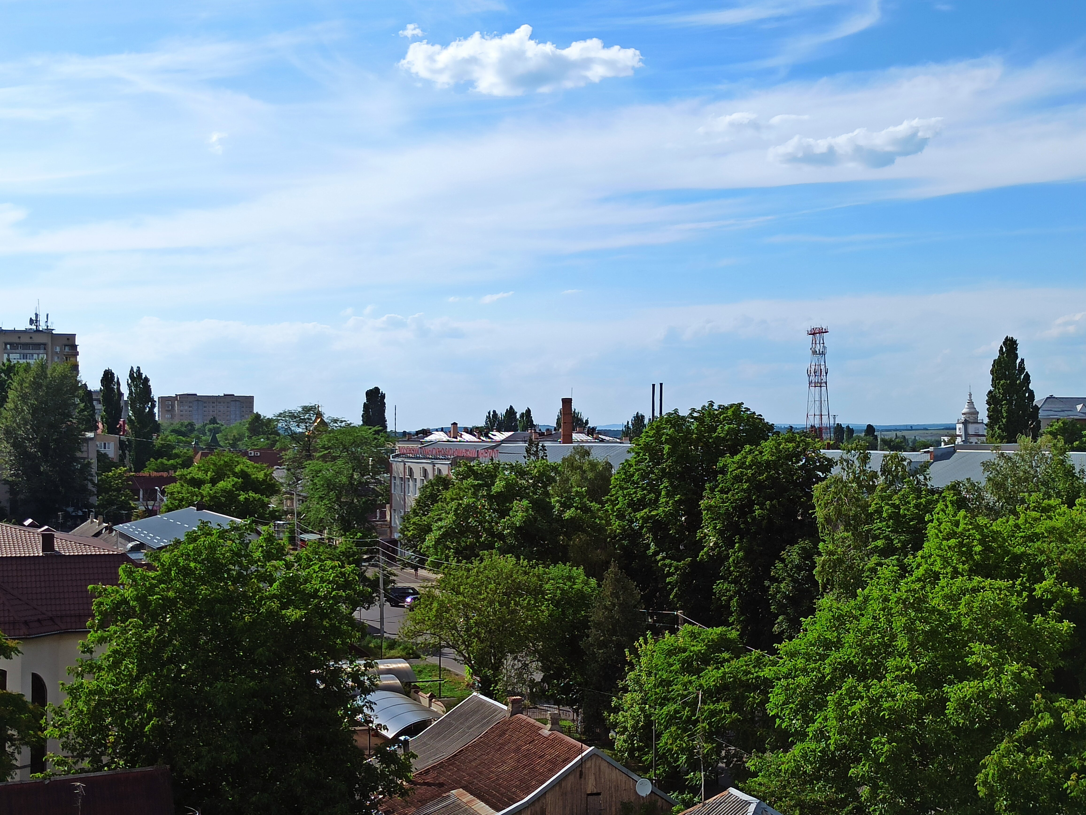 Фото Лайлик апарт