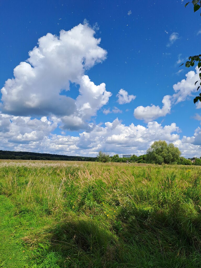 Landmark, attraction Медвежий луг, Maloyaroslavets, photo