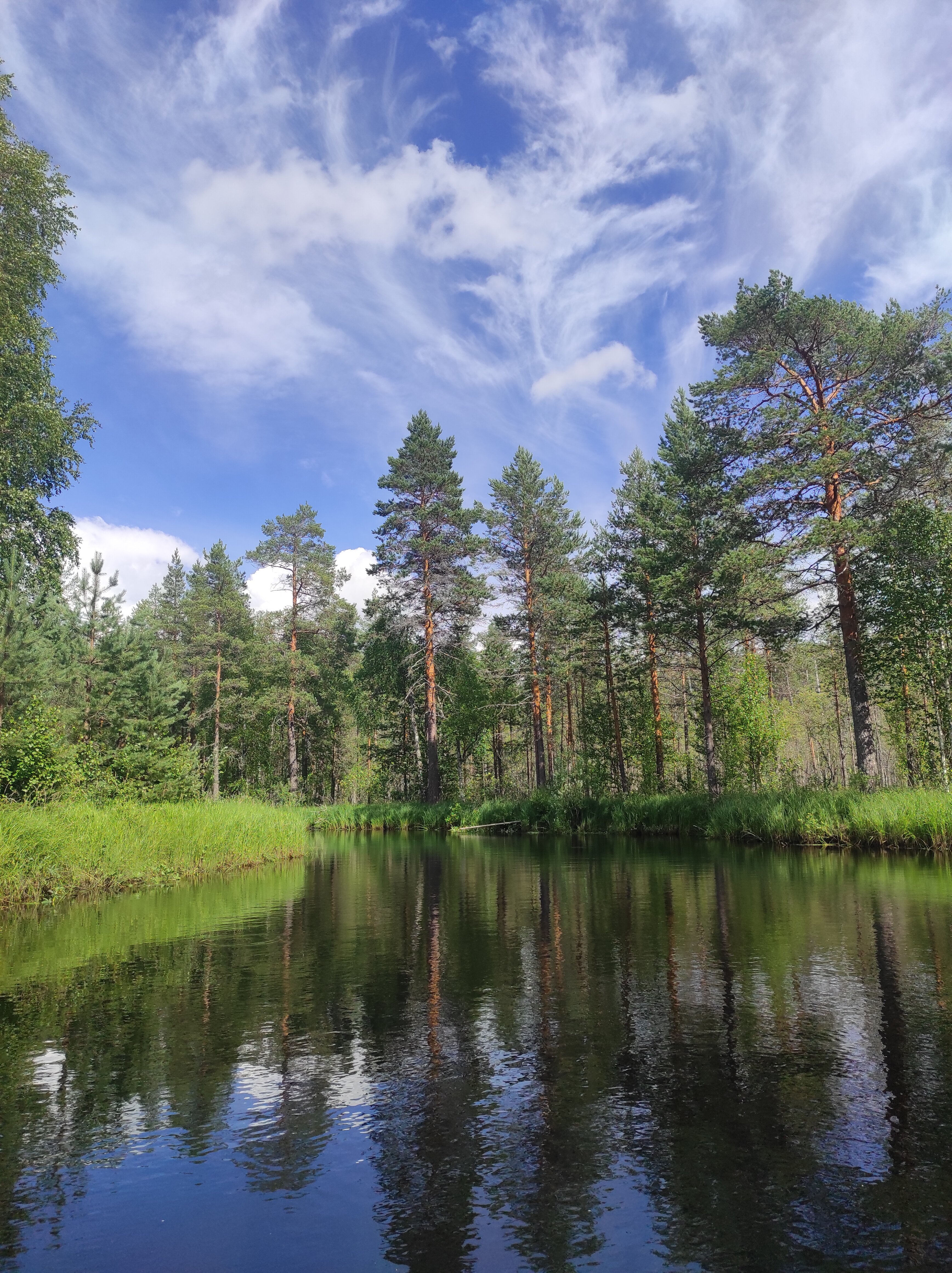 Фото Поляна