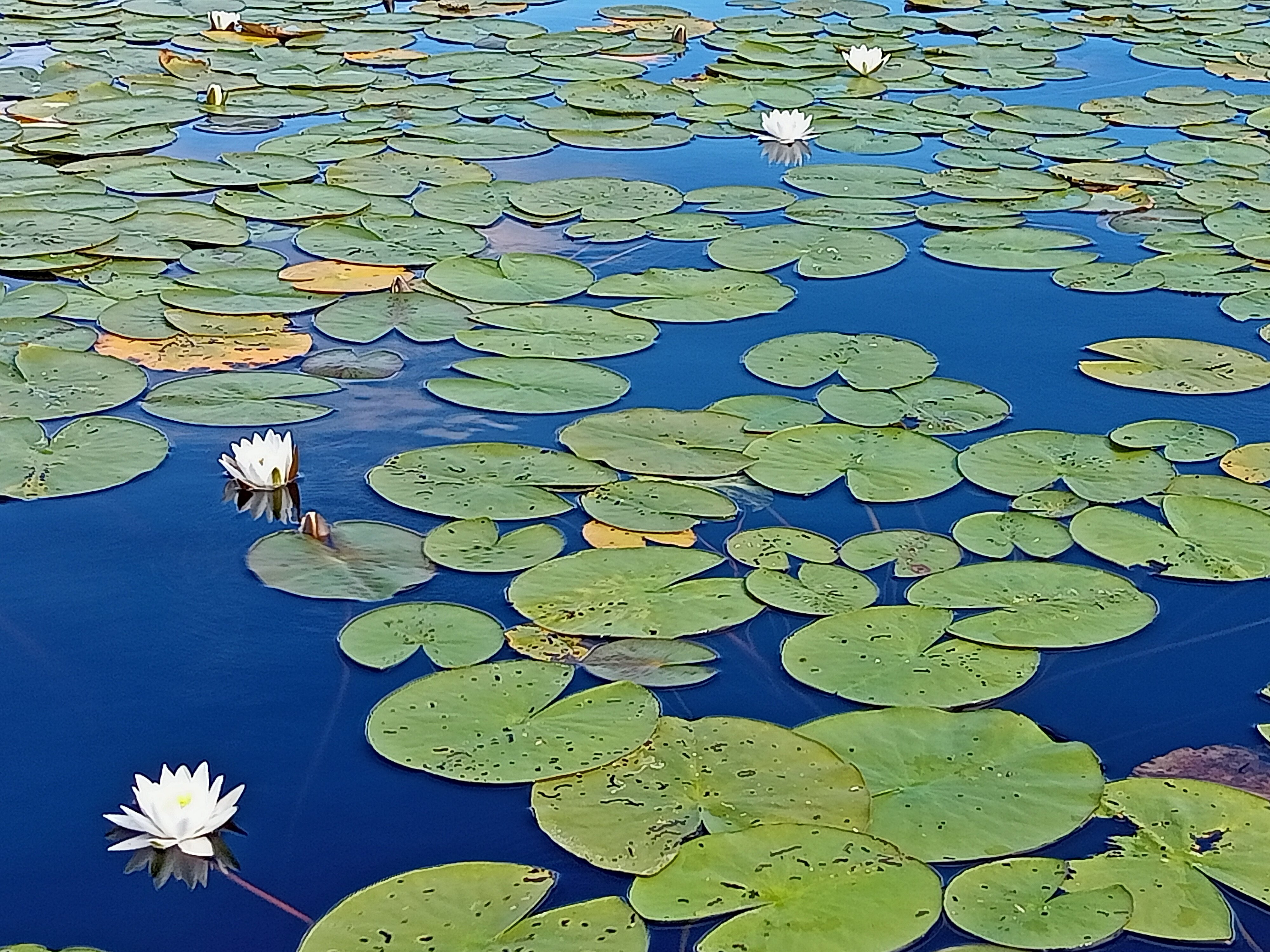 Фото Охотник и рыболов