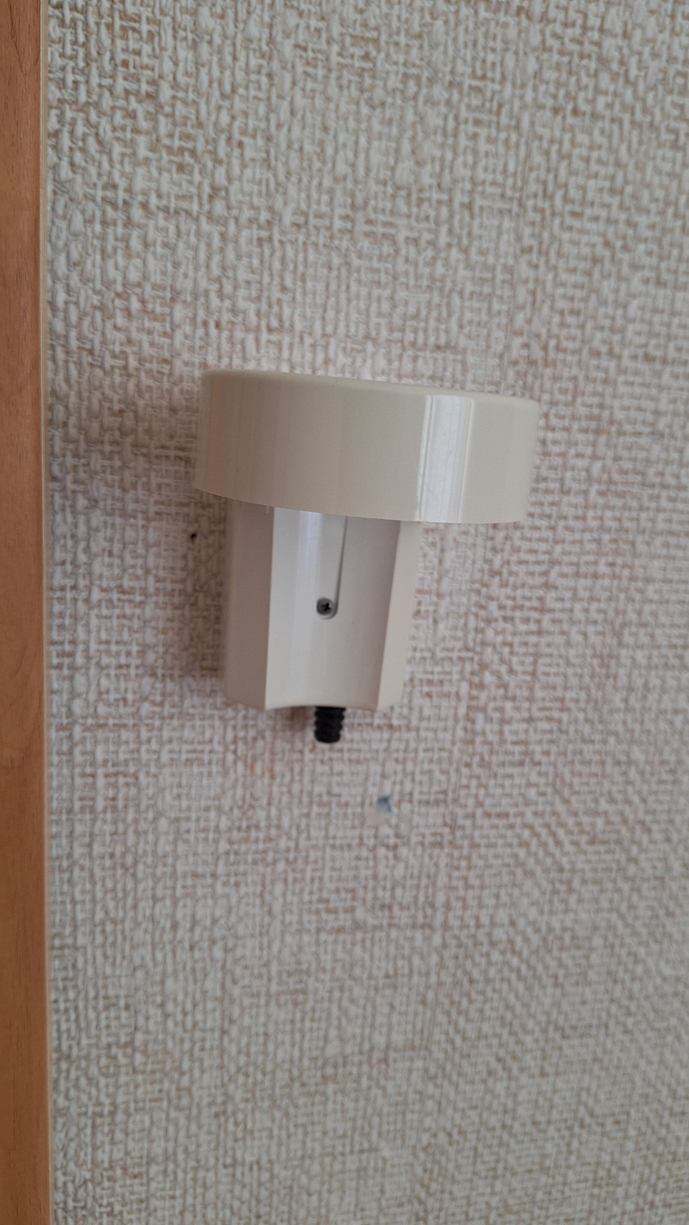 Фото Светлана