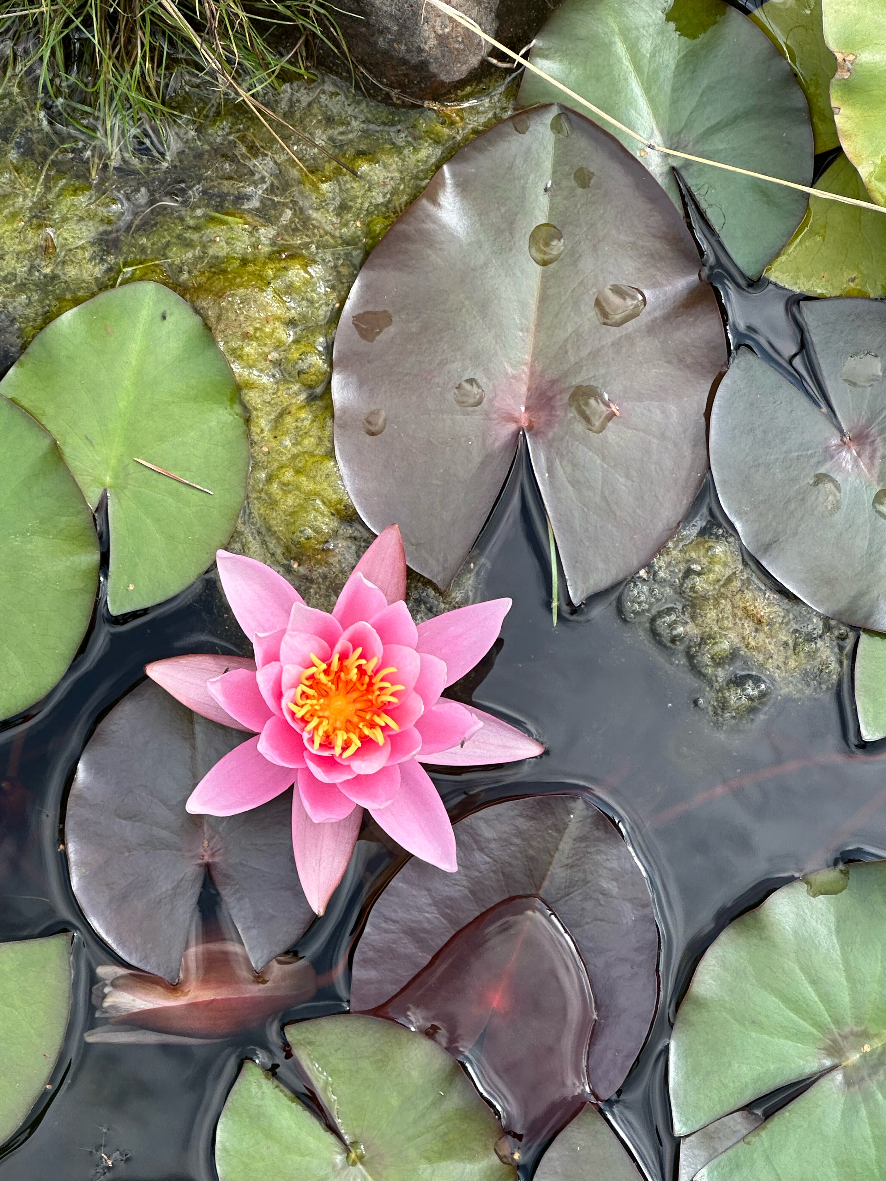 Фото Охотник и рыболов