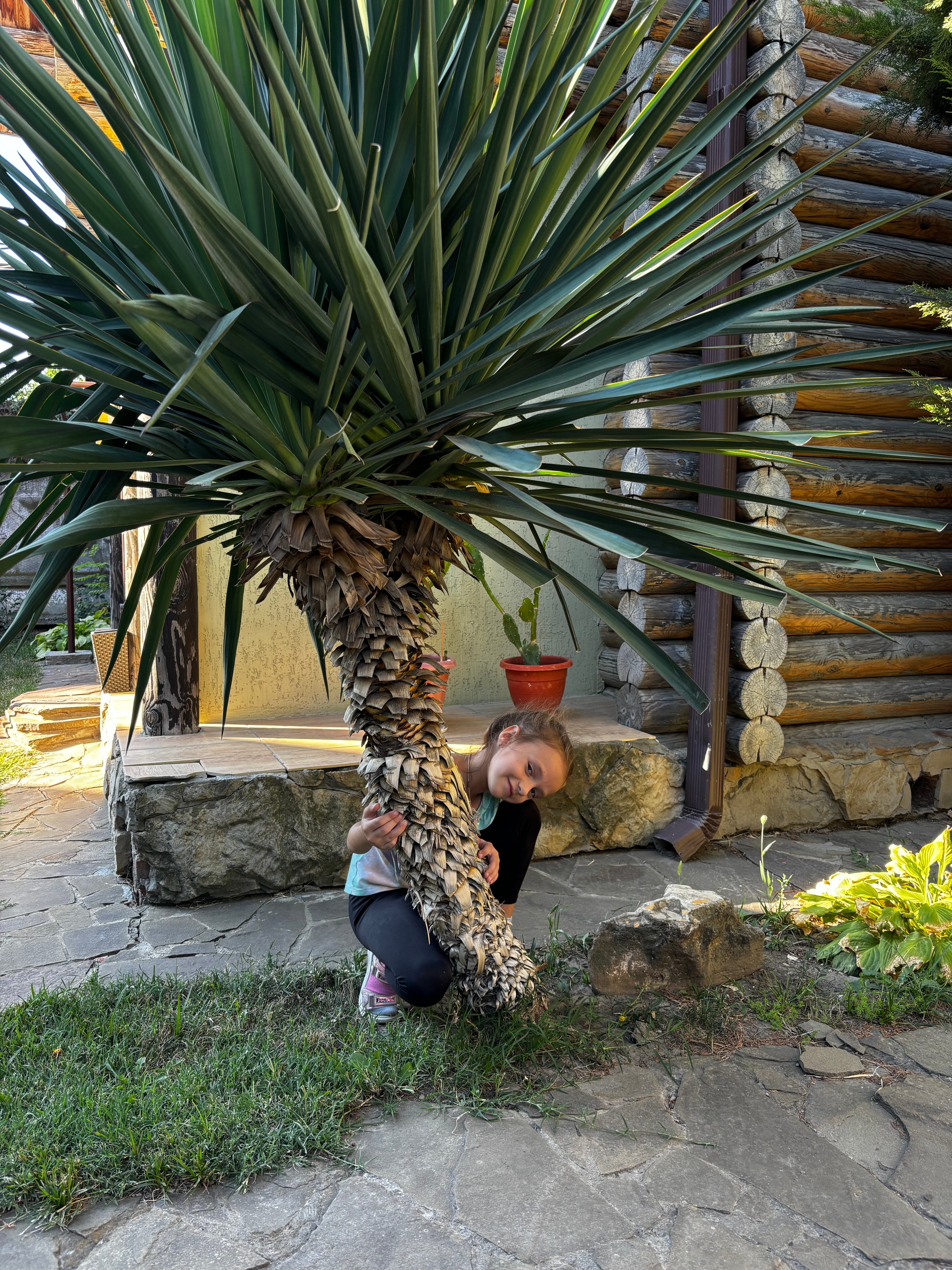 Фото Боярский двор