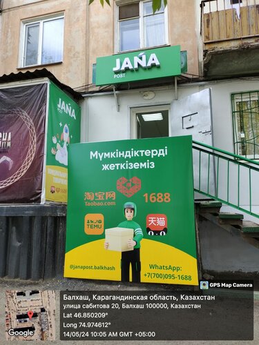 Секс-офицердің әйелі