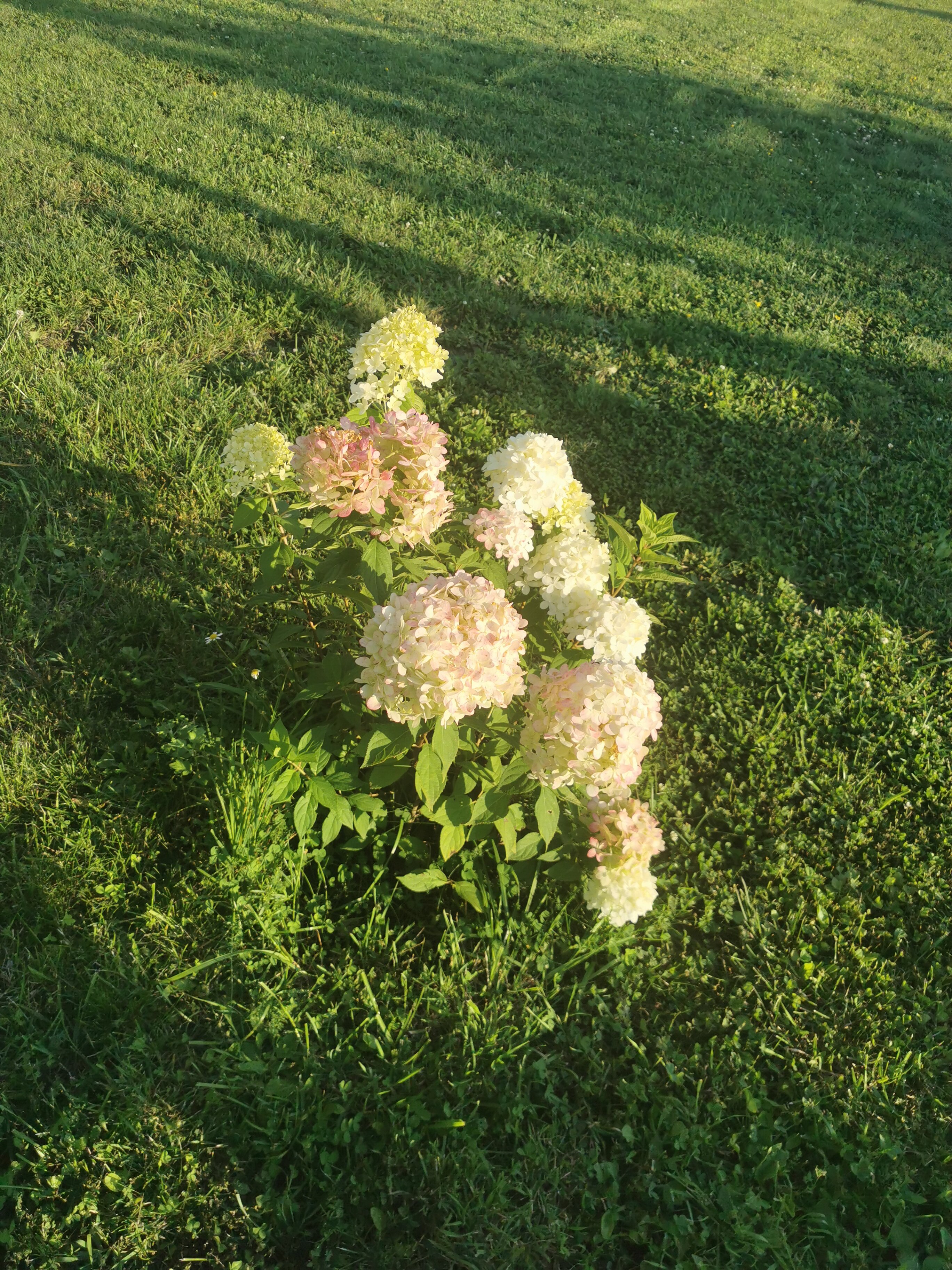 Фото Чердак