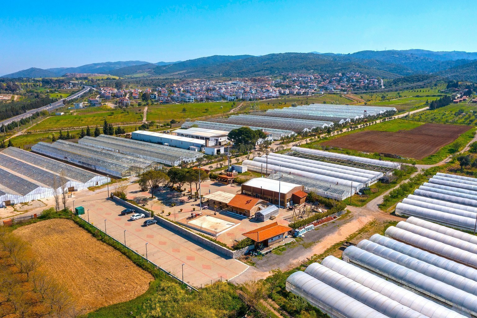Photos of Bademler Zeytinyağı Fabrikası made by the business and Yandex Map...