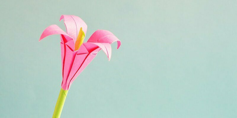 Advertising agency Arcadia Reklam Ajansı, Ankara, photo