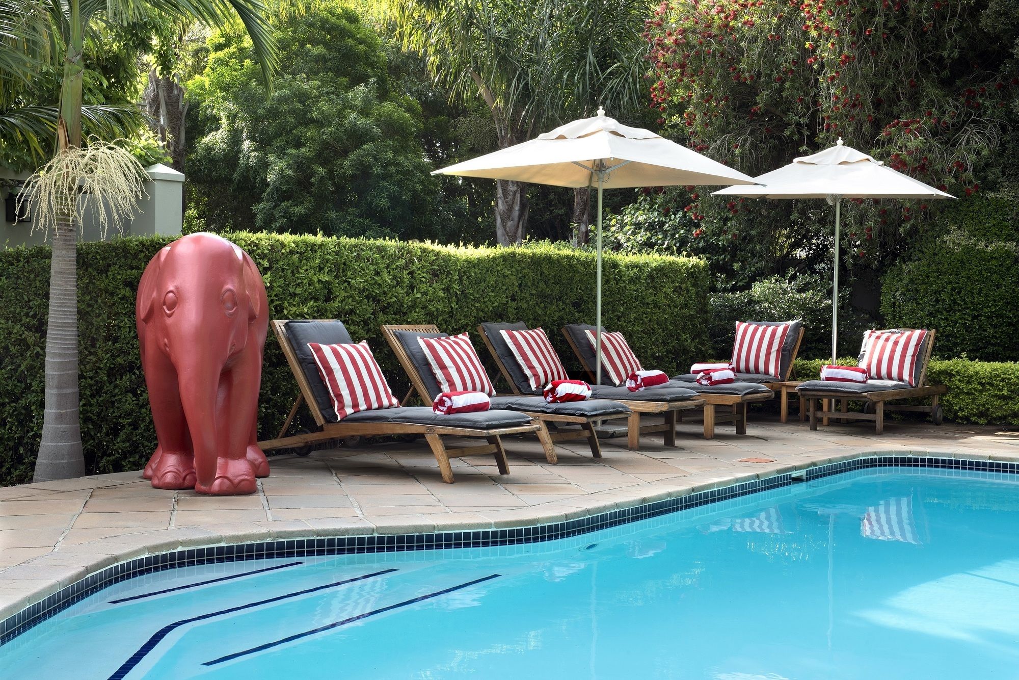 Фото Avondrood Guest House