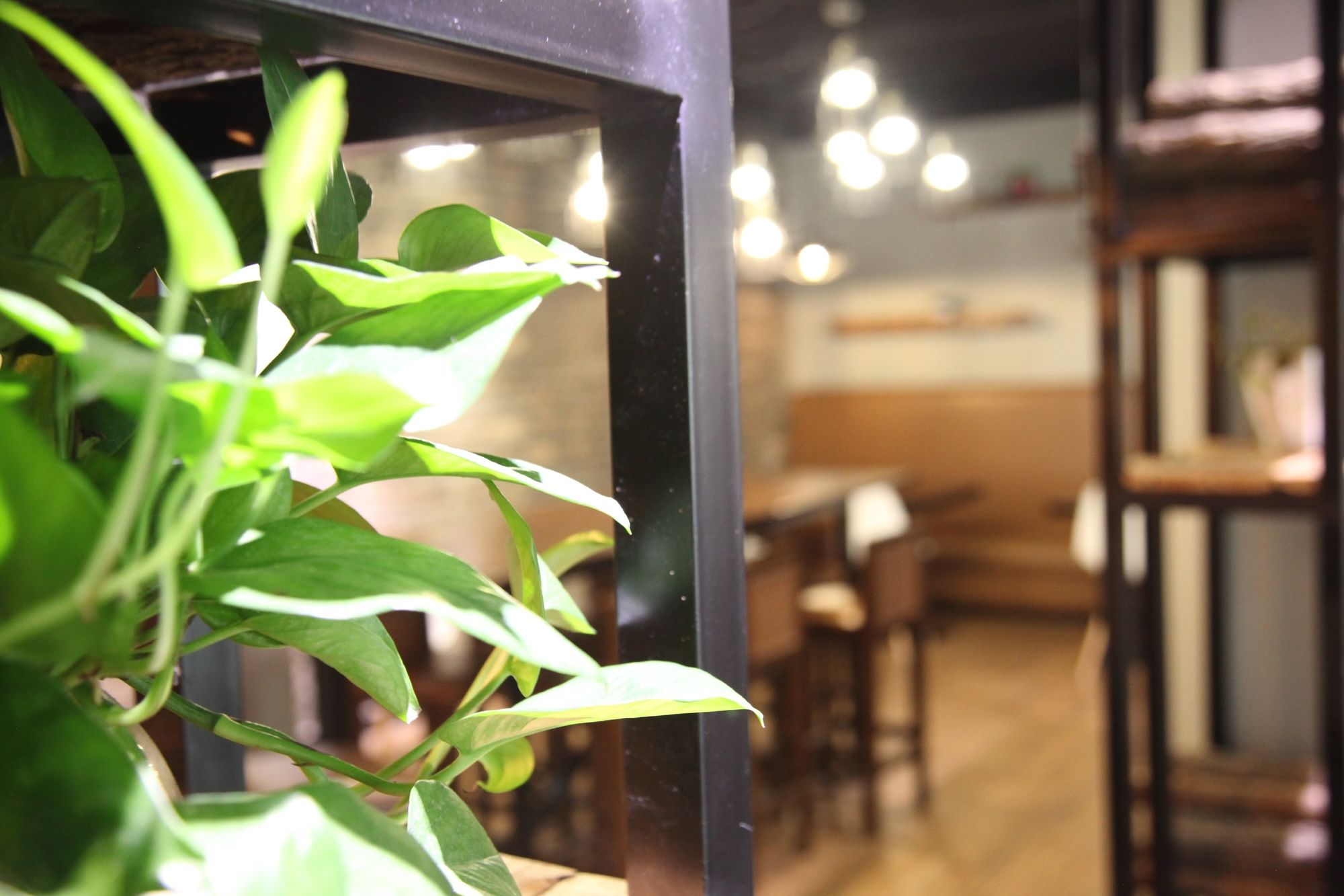 Фото Fish Inn Shanghai East Nanjing Road