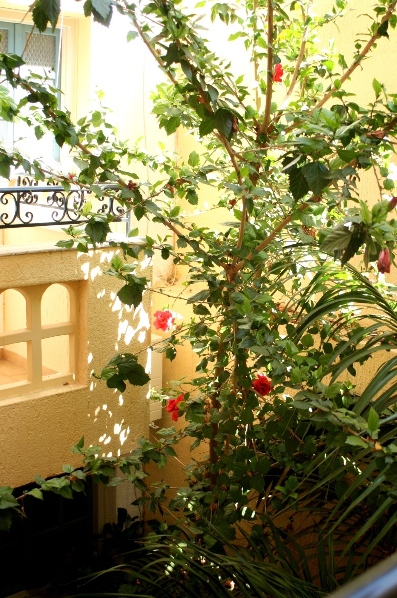 Фото Orion Apartments