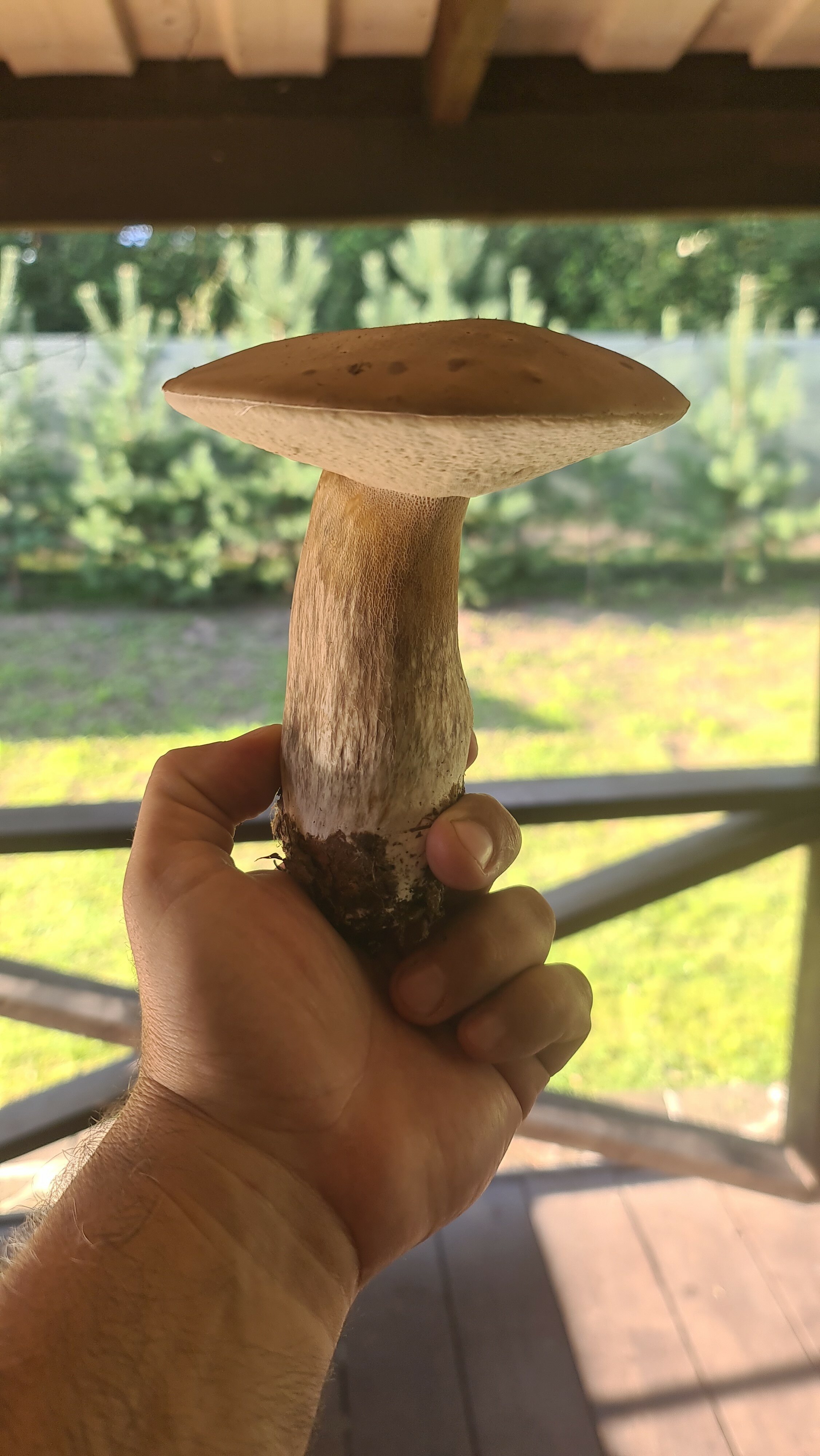 Фото Вилла Бор Волго